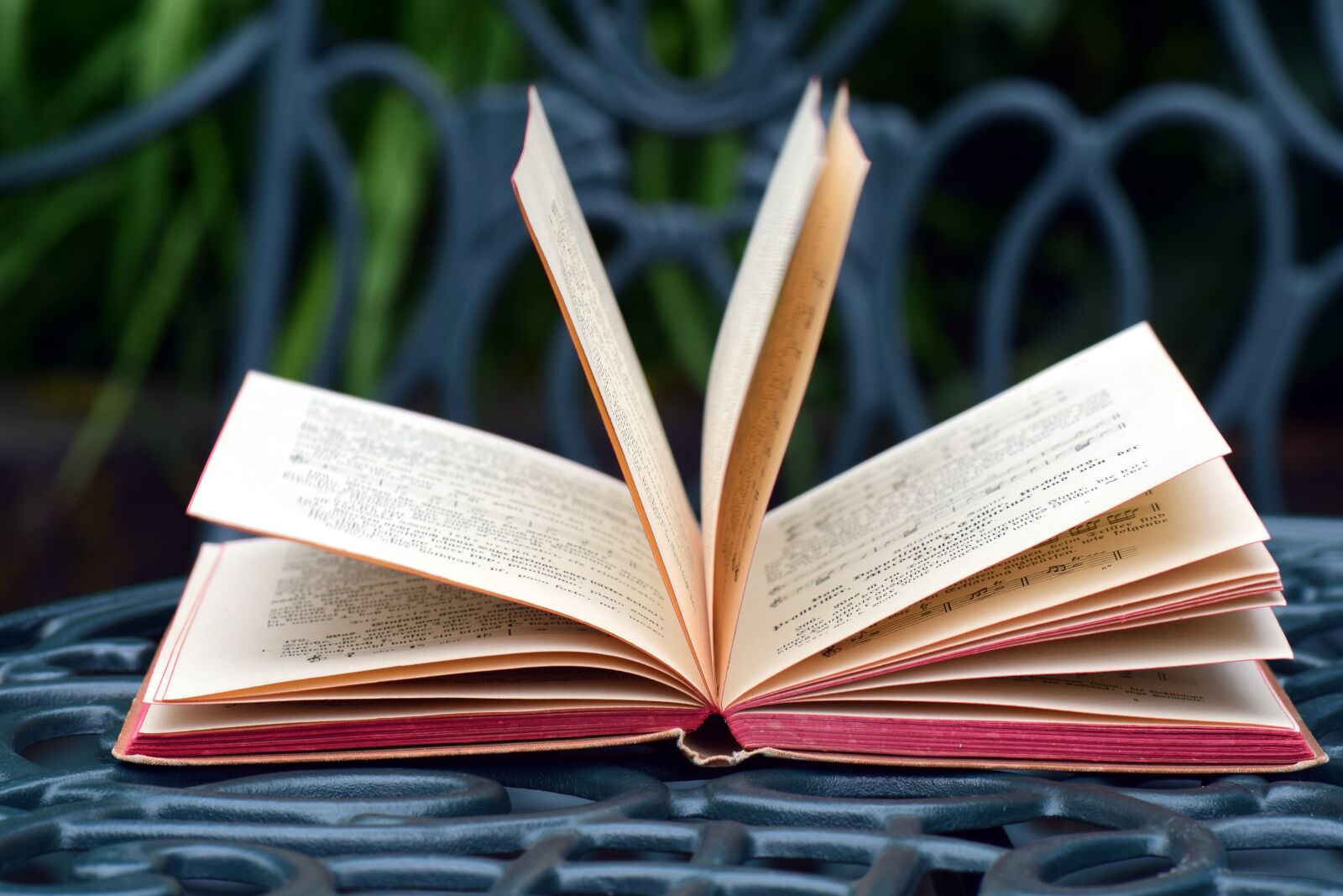 Nikon D3300 sample photo. Book, read, literature photography