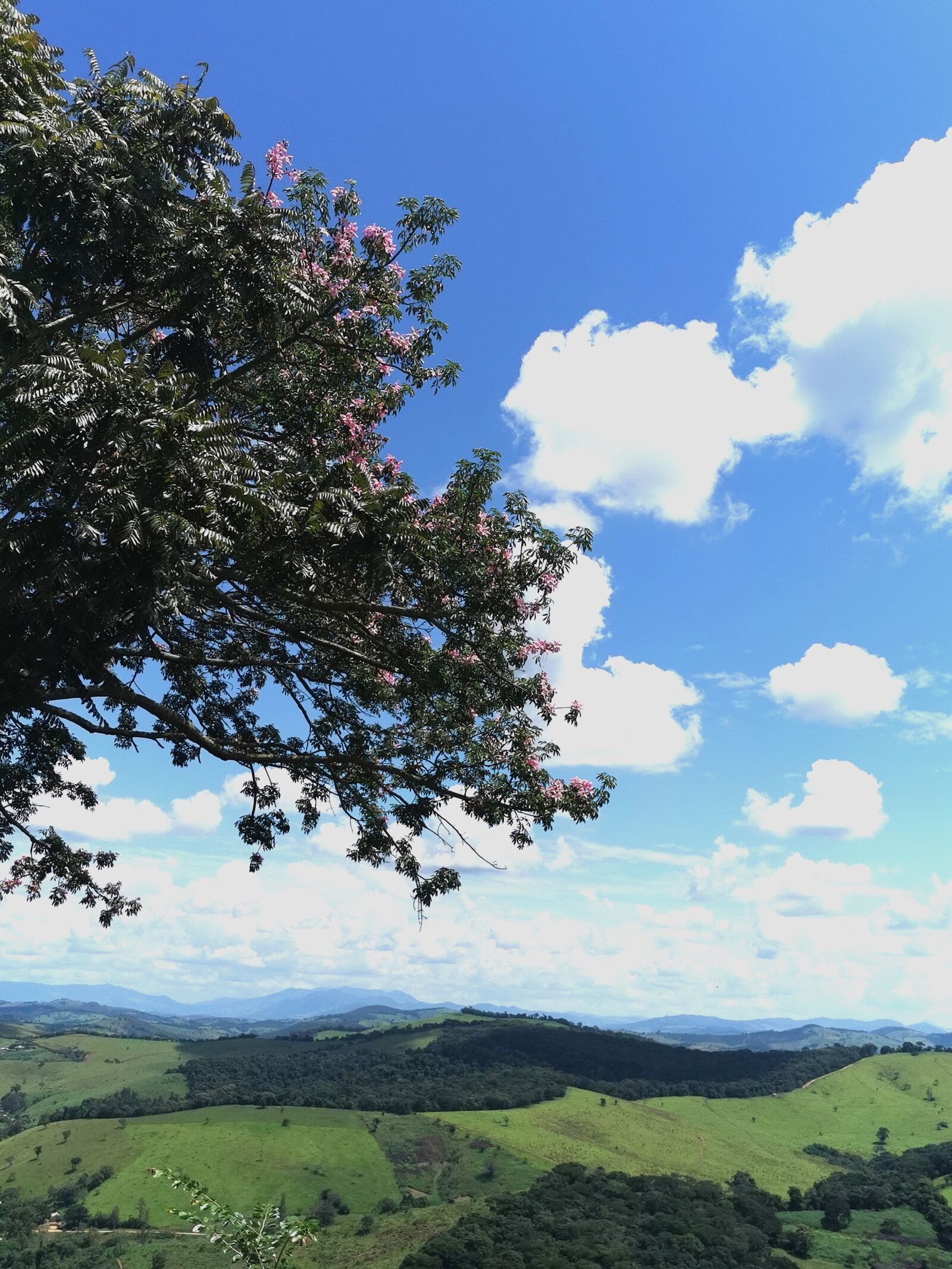 HUAWEI P30 Pro sample photo. Tree, mountains, landscape photography