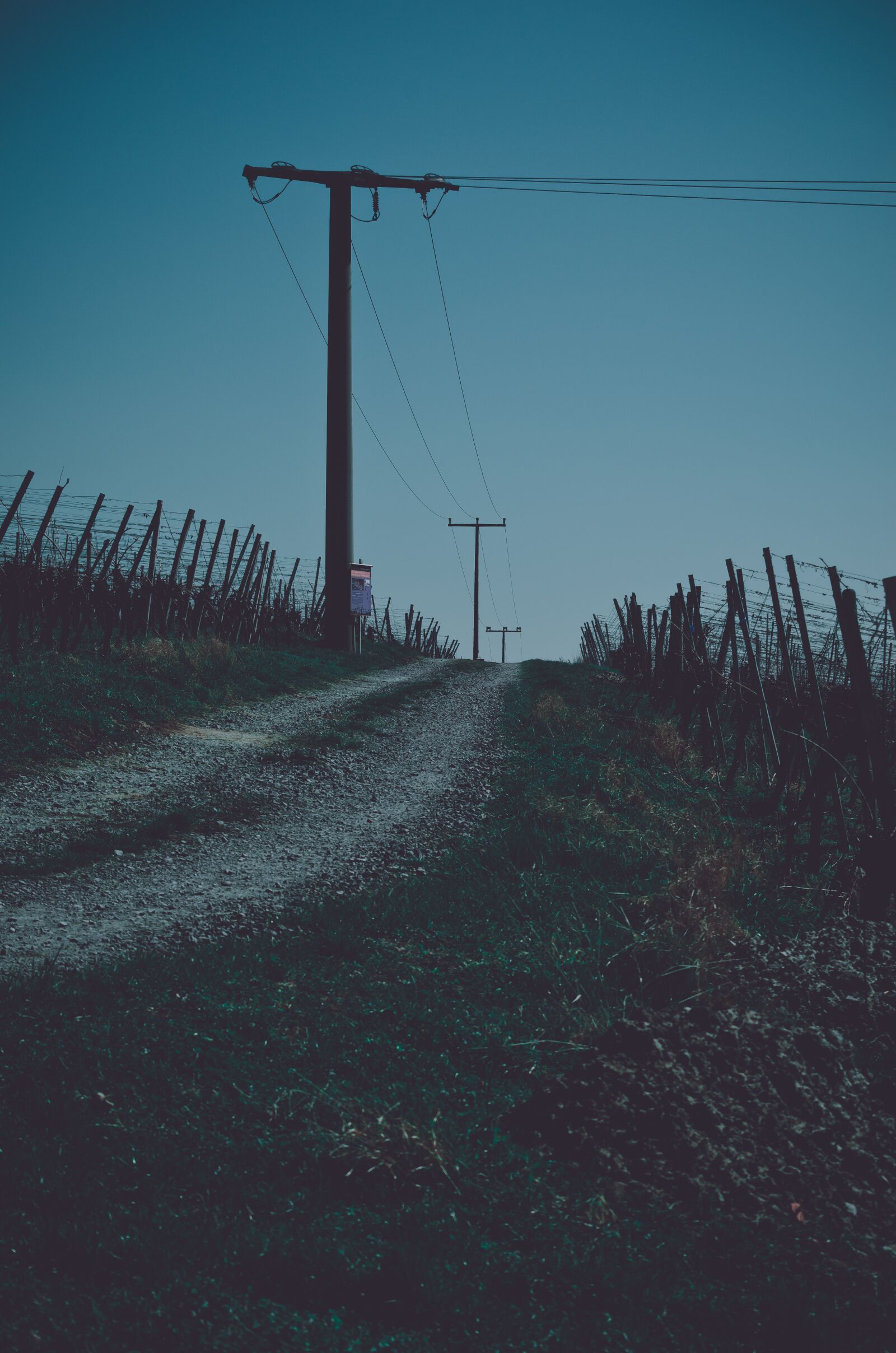 Nikon D5100 sample photo. Trail, away, path photography