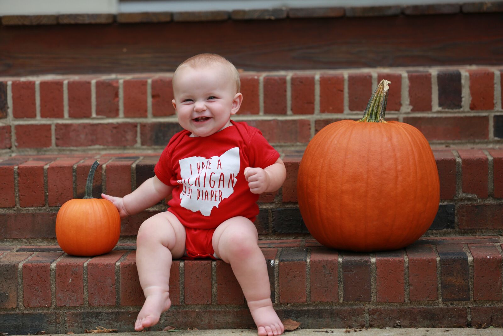Canon EOS 5D Mark III sample photo. Sports, ohio state, football photography