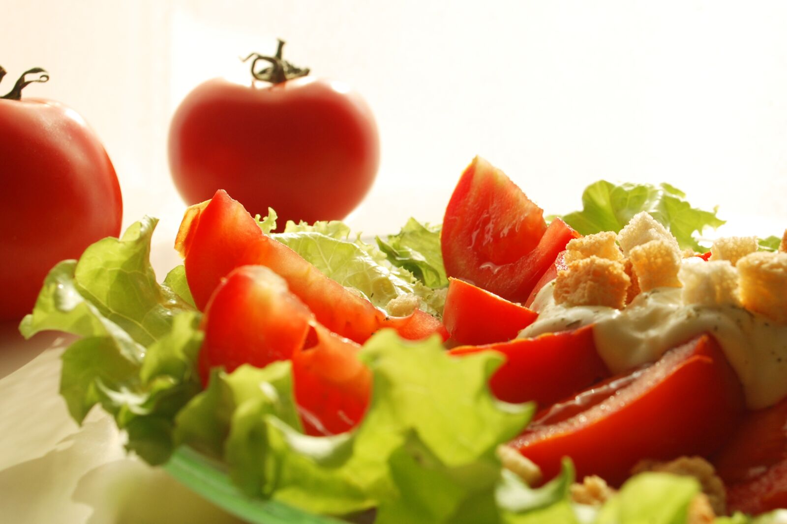 Nikon D40 sample photo. Salad, dish, tomato photography