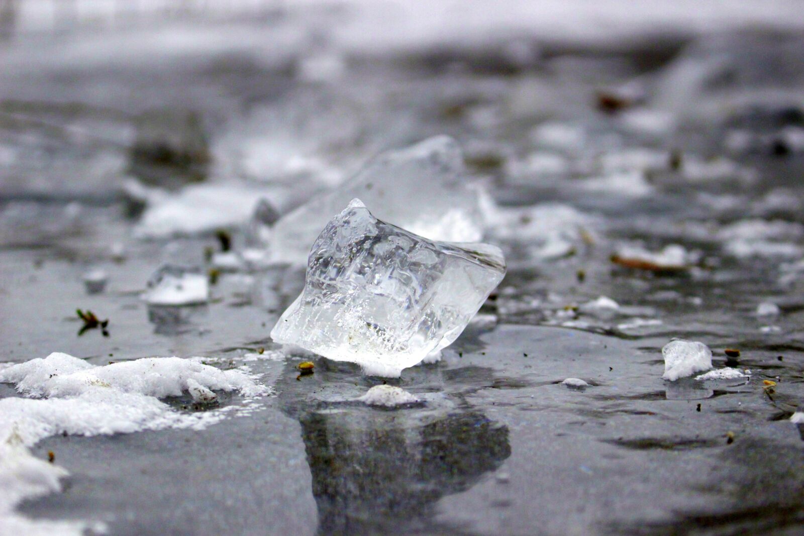 Canon EOS 100D (EOS Rebel SL1 / EOS Kiss X7) sample photo. Ice, winter, bach photography