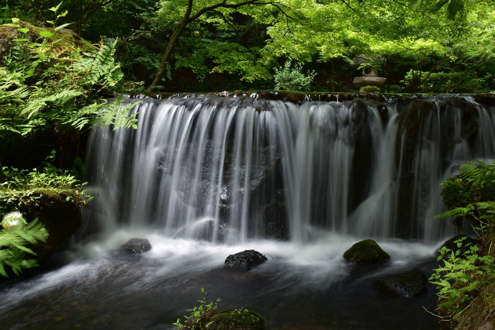 Nikon D7200 sample photo. Natural, landscape, forest photography