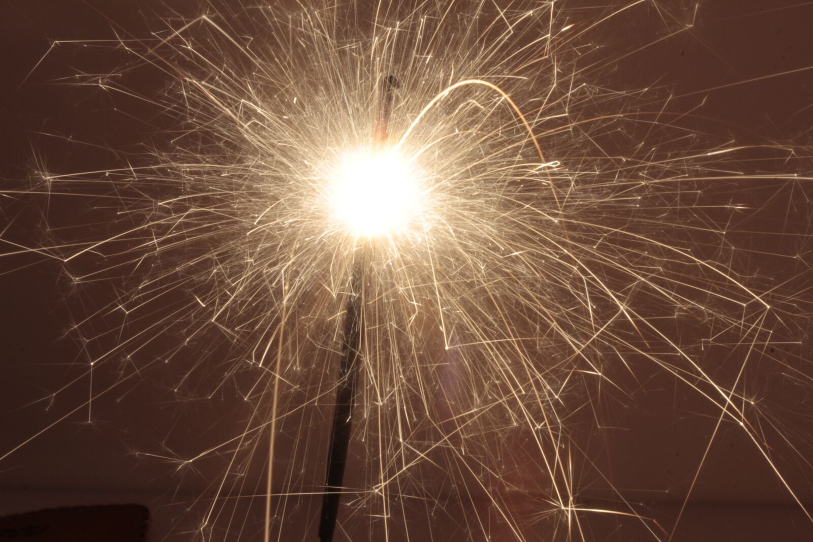 Canon EOS 550D (EOS Rebel T2i / EOS Kiss X4) sample photo. Roman candle, macro, bi photography