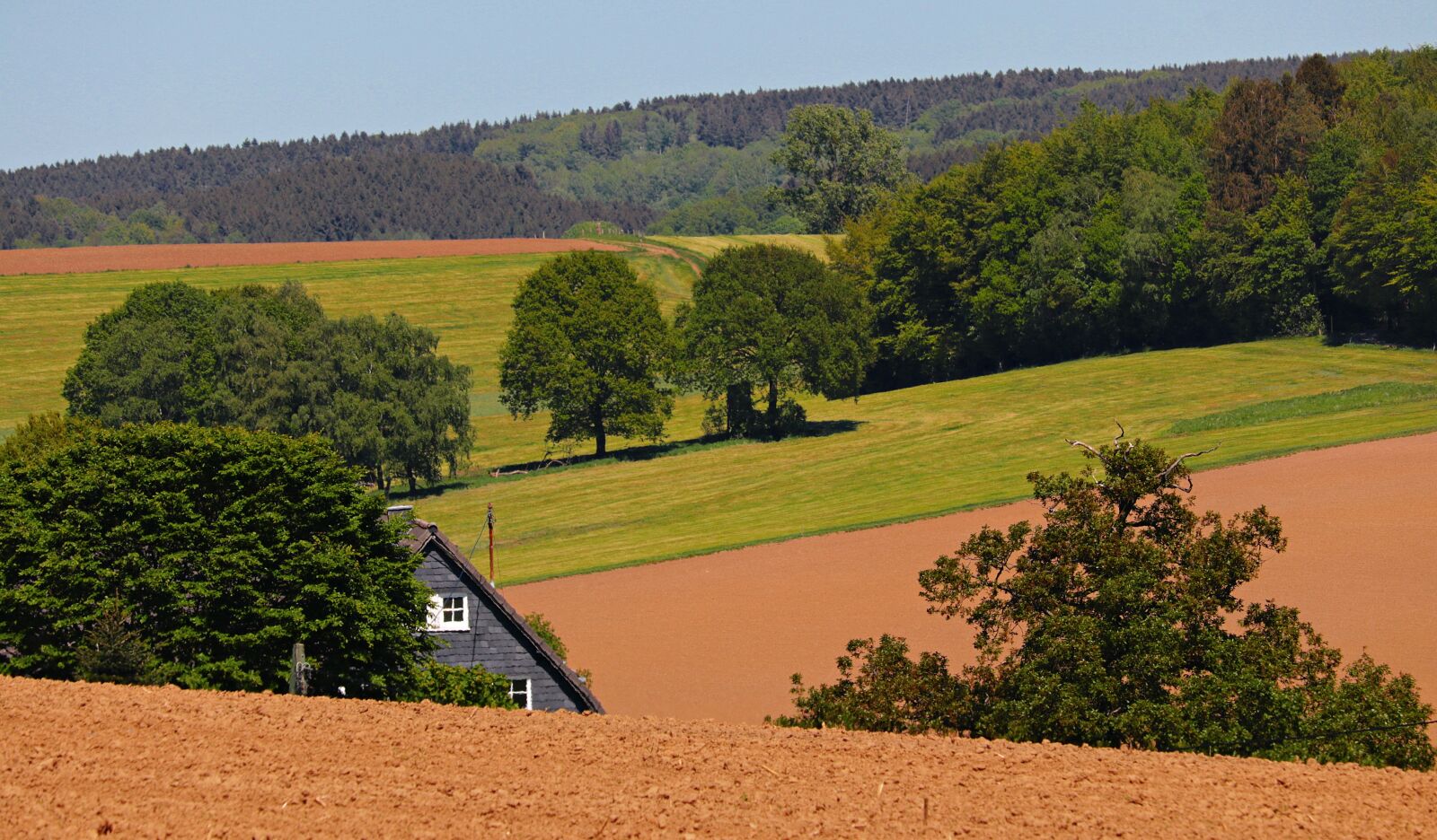 Canon EF-S 55-250mm F4-5.6 IS STM sample photo. Landscape, trees, meadow photography