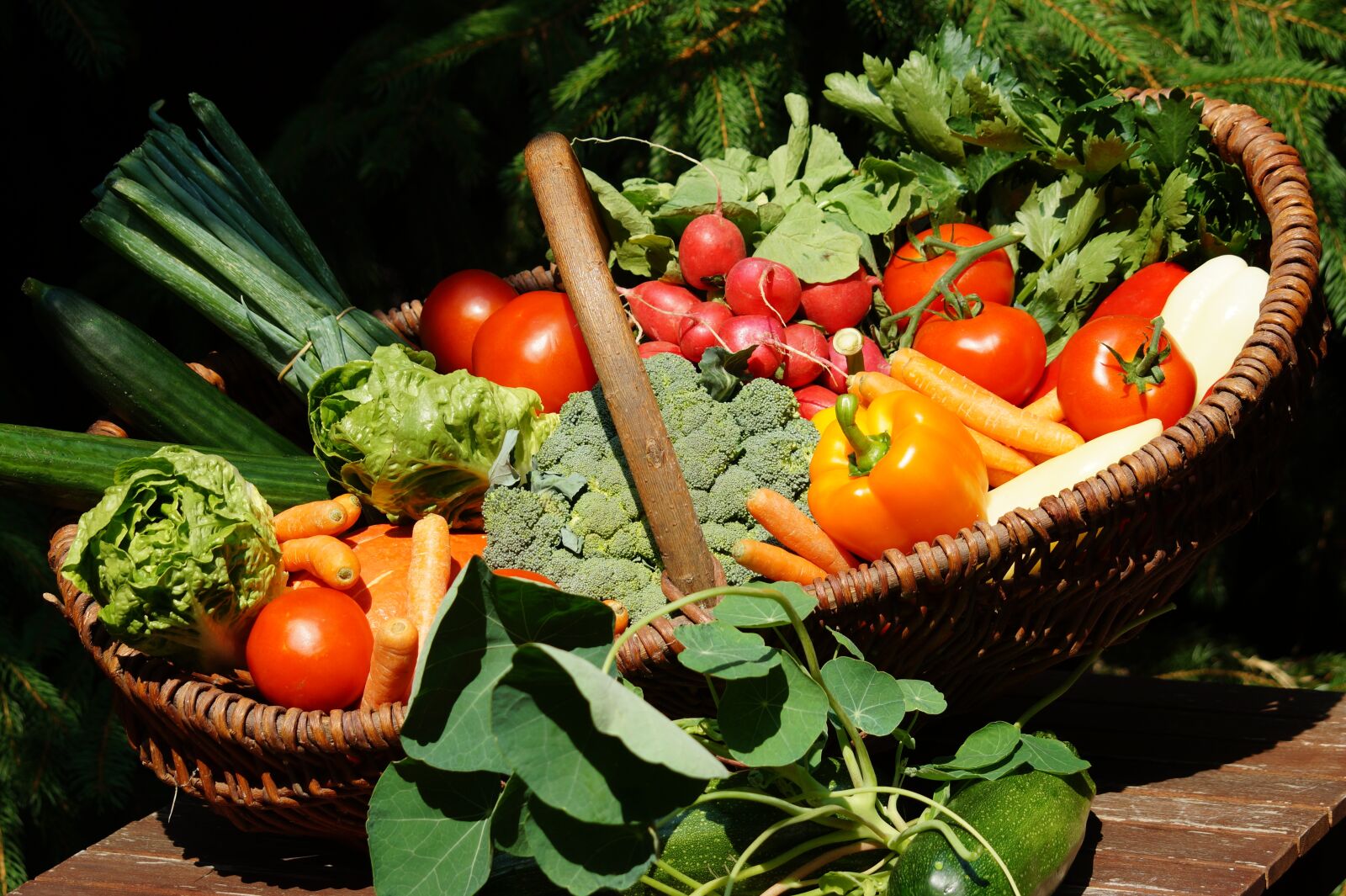Sony SLT-A58 sample photo. Vegetables, vitamins, vegetable basket photography
