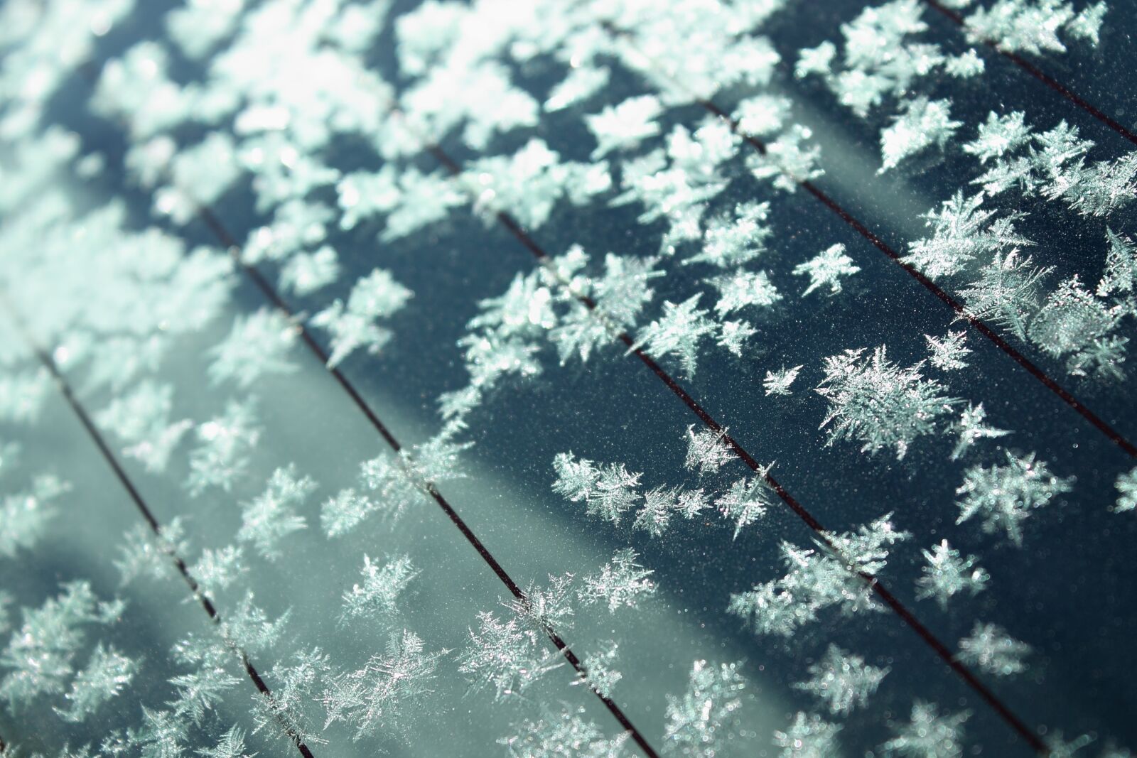 Canon EOS 1100D (EOS Rebel T3 / EOS Kiss X50) sample photo. Ice, crystals, cold photography