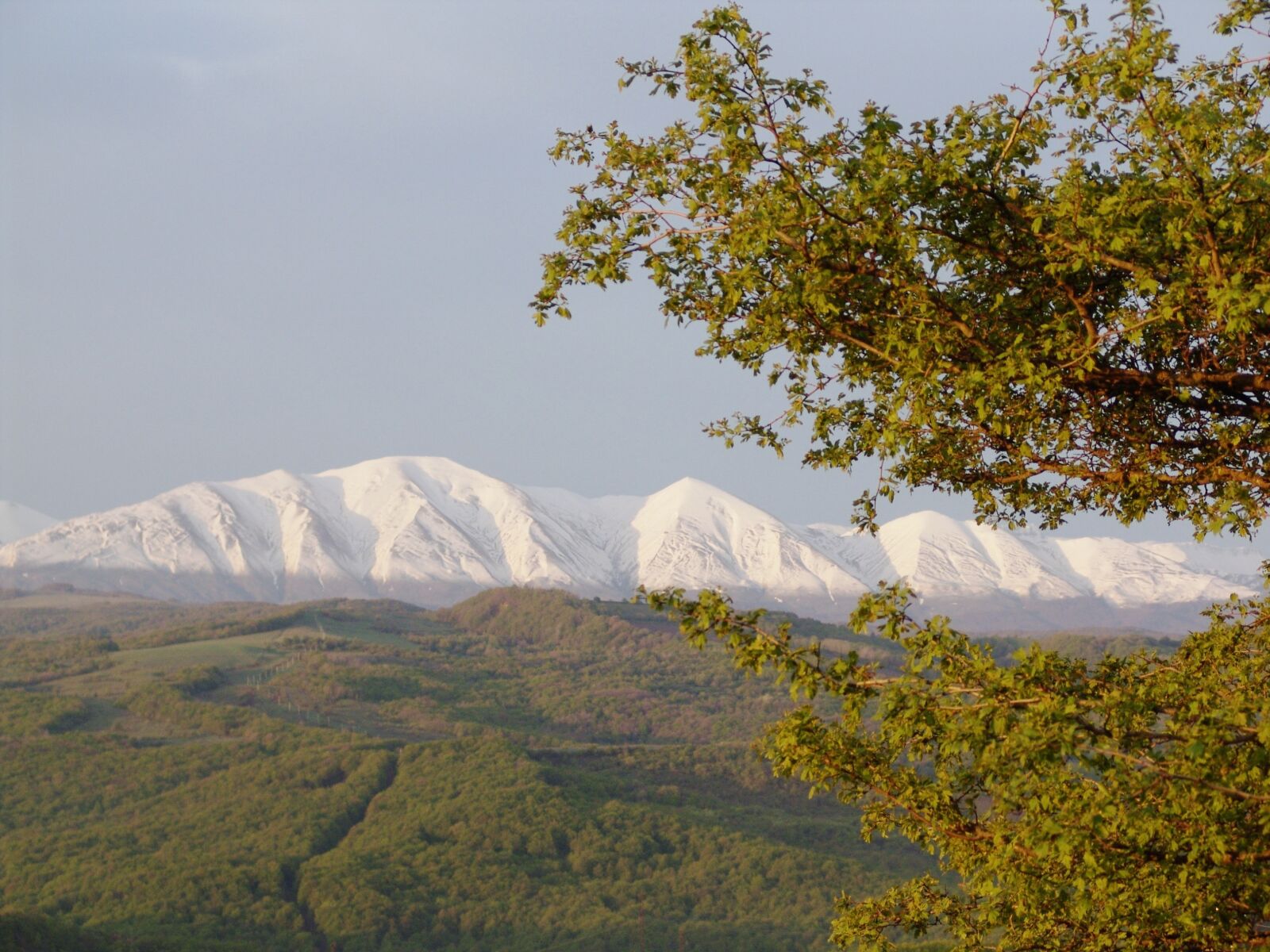 Sony DSC-F828 sample photo. Mountains, alatavia, dagestan photography