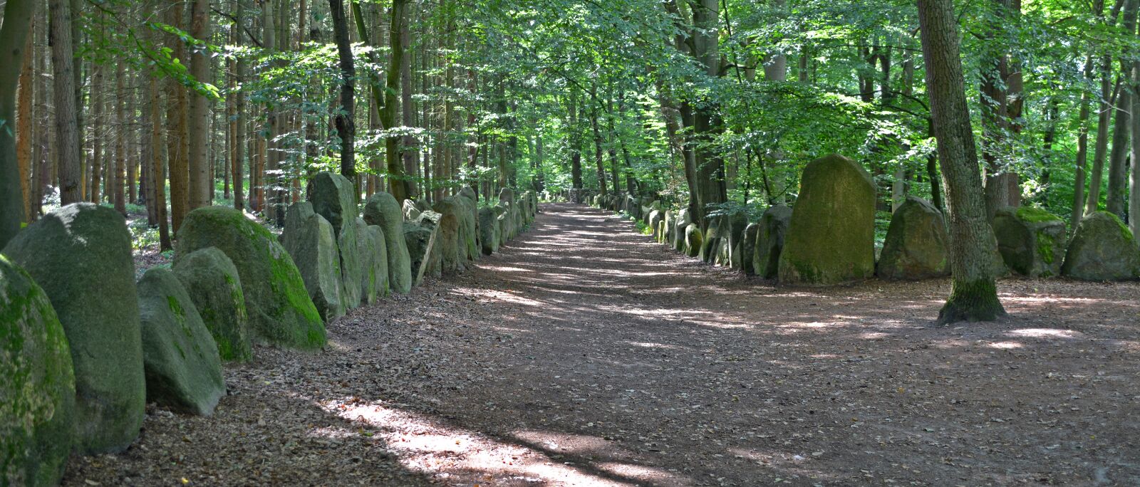 Nikon D5200 sample photo. Memorial, path, away photography