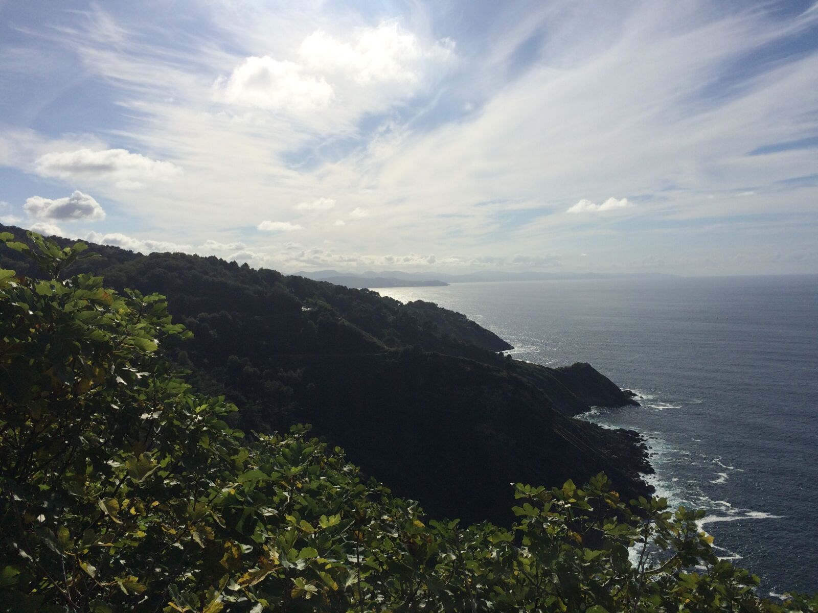 iPhone 5s back camera 4.15mm f/2.2 sample photo. Sun, tree, ocean photography