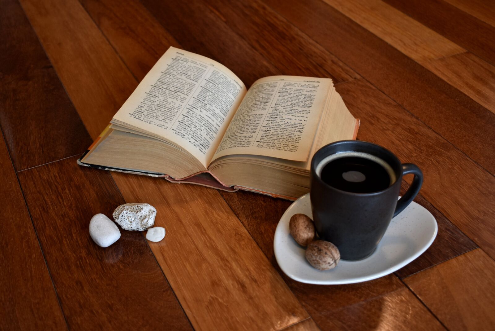 Nikon D3400 sample photo. Book, old book, reading photography