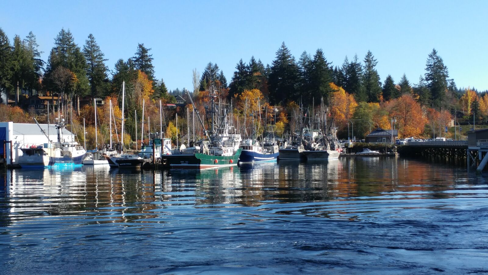 LG G5 sample photo. Fall, autumn, leaves photography