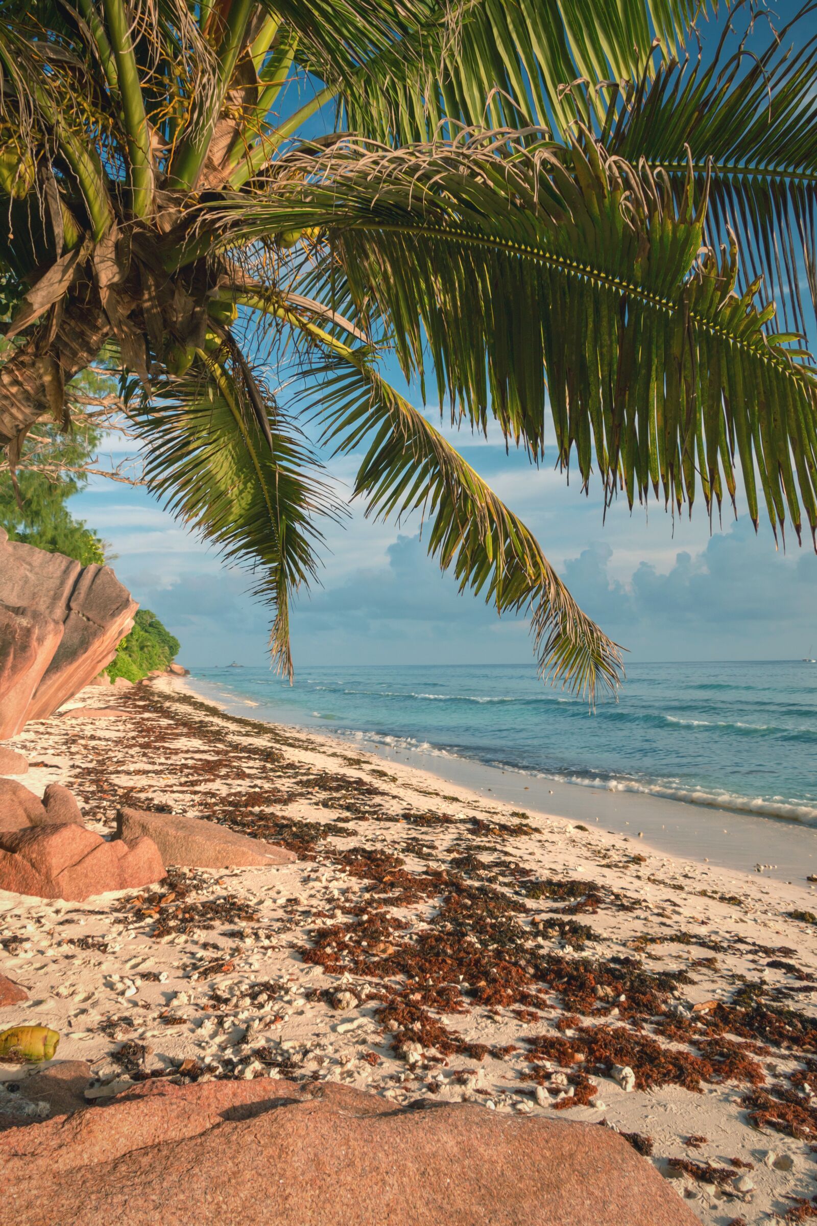 Canon EOS 70D sample photo. La digue, seychelles, seychellen photography