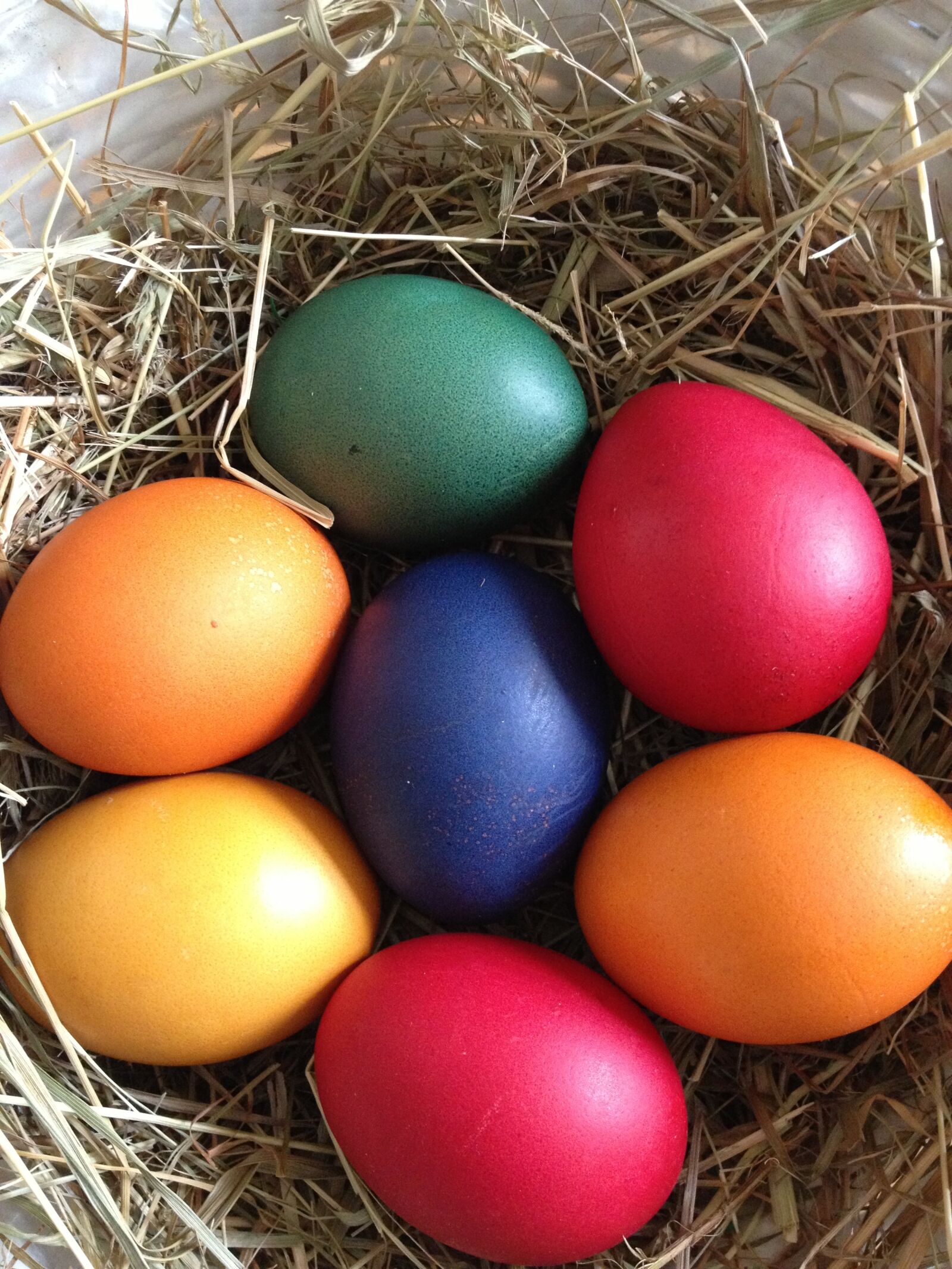 Apple iPhone 4S sample photo. Egg, easter, nest photography