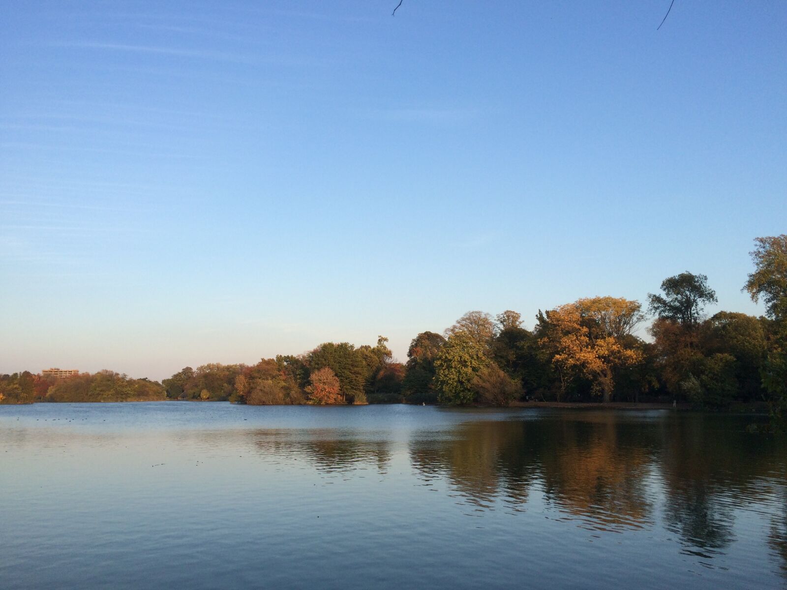iPhone 5s back camera 4.15mm f/2.2 sample photo. Prospect park, lake, brooklyn photography