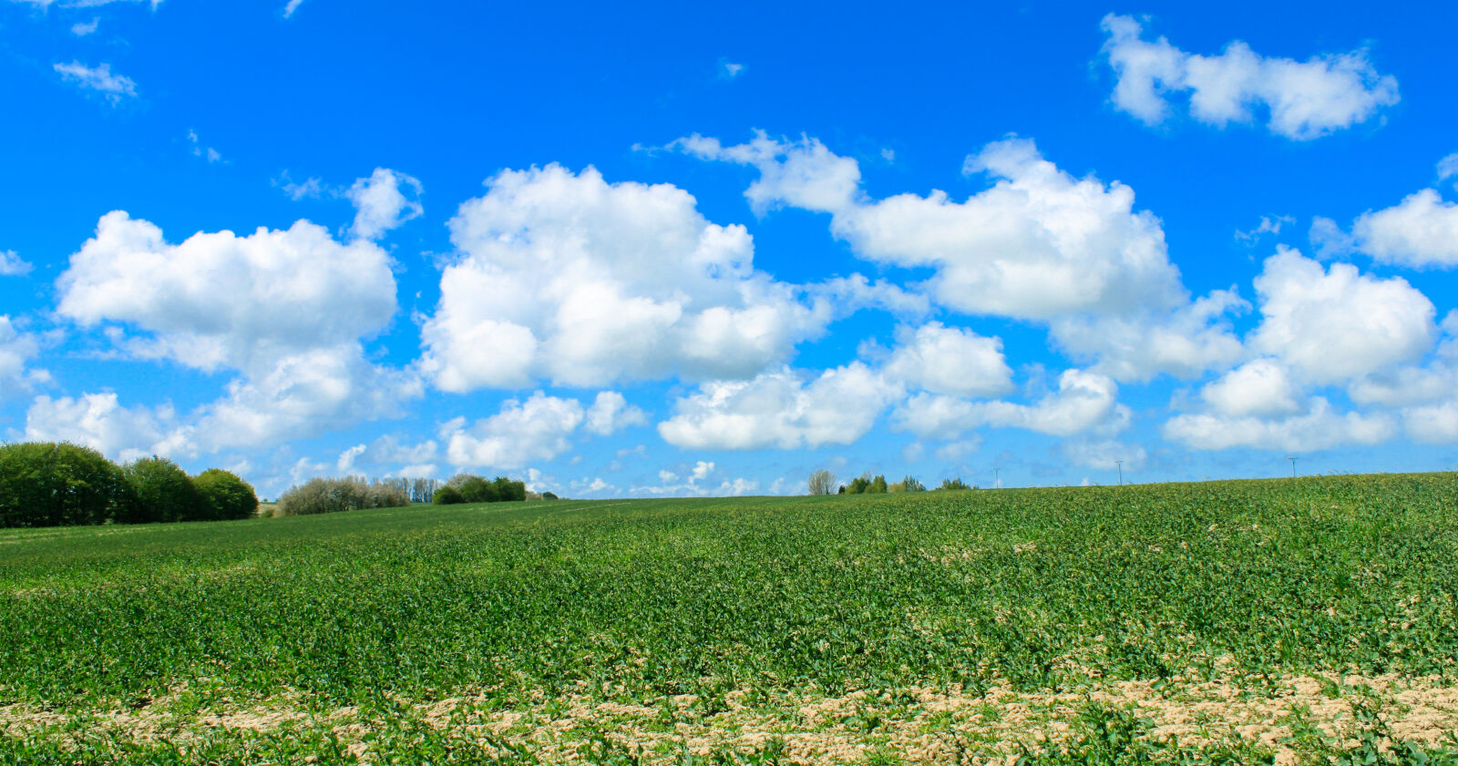Canon EOS 500D (EOS Rebel T1i / EOS Kiss X3) sample photo. Clouds, farm, field, landscape photography