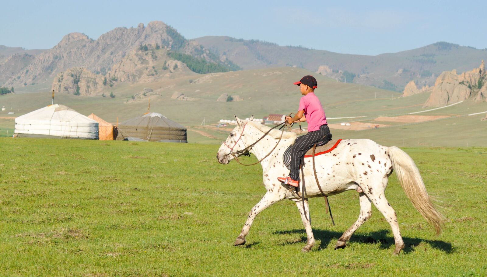 Nikon D90 sample photo. Horse, riding, ride photography