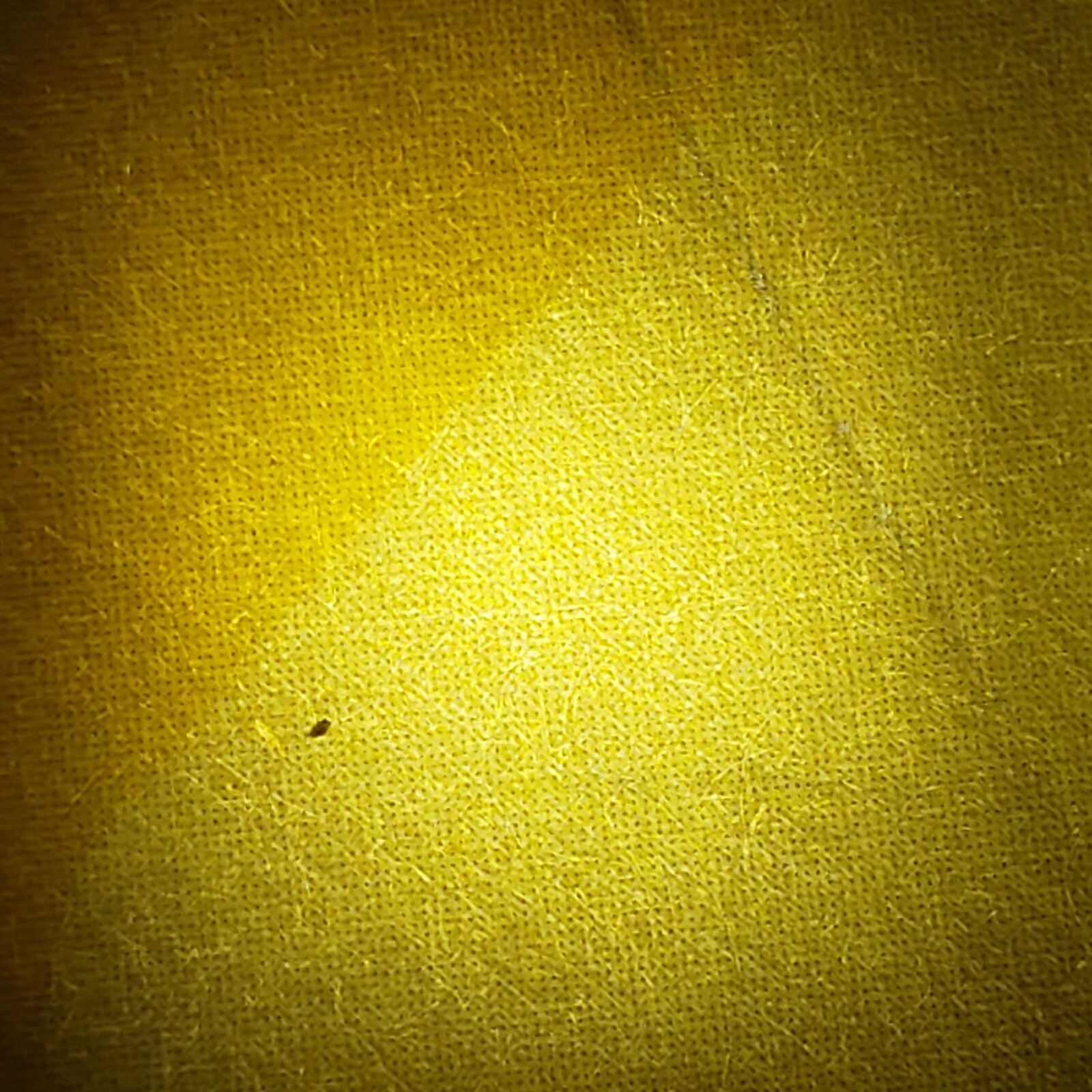 Samsung Galaxy S9+ sample photo. Yellow, texture, pattern photography