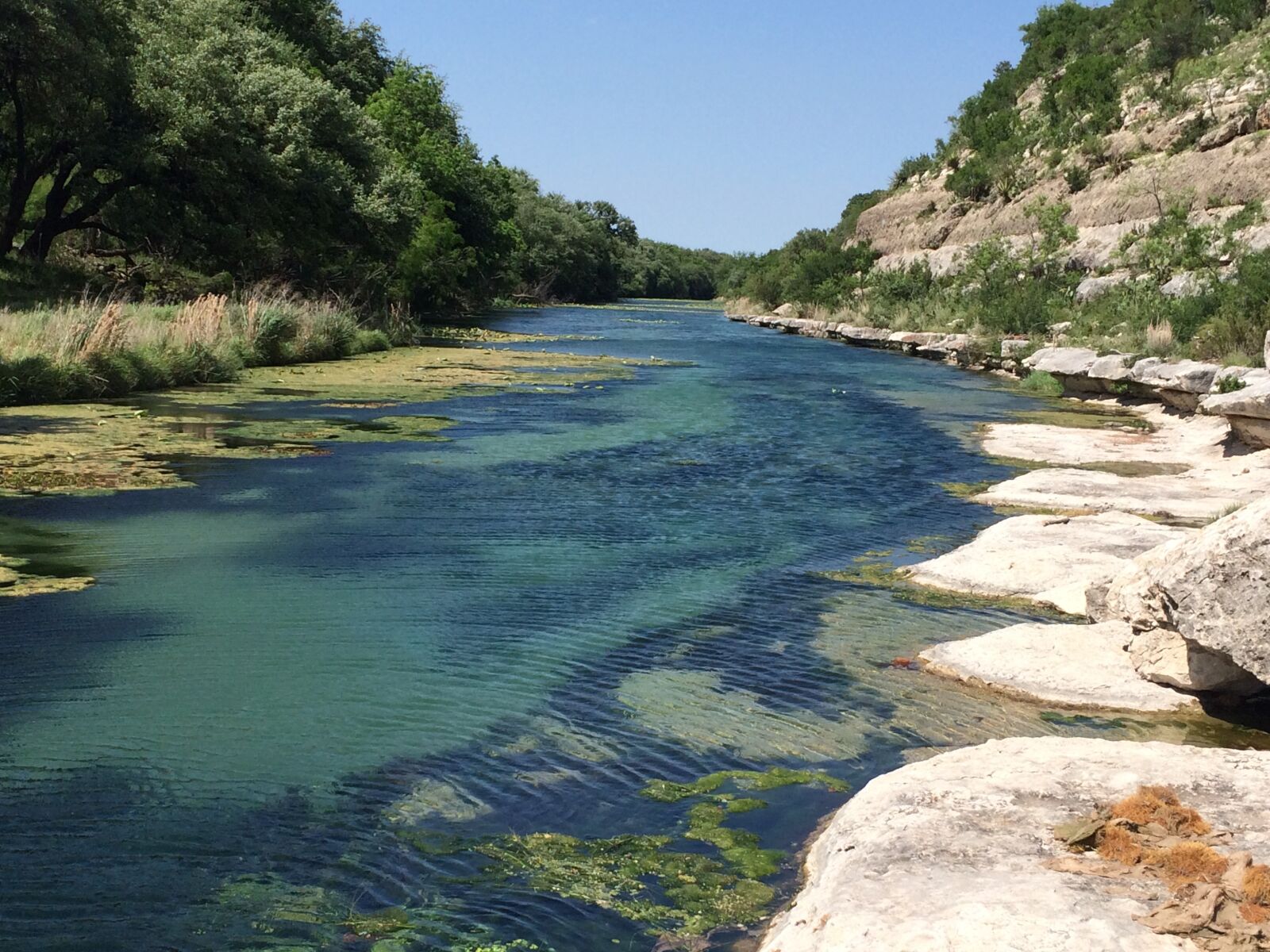 iPhone 5s back camera 4.15mm f/2.2 sample photo. Nature, texas, outdoor photography