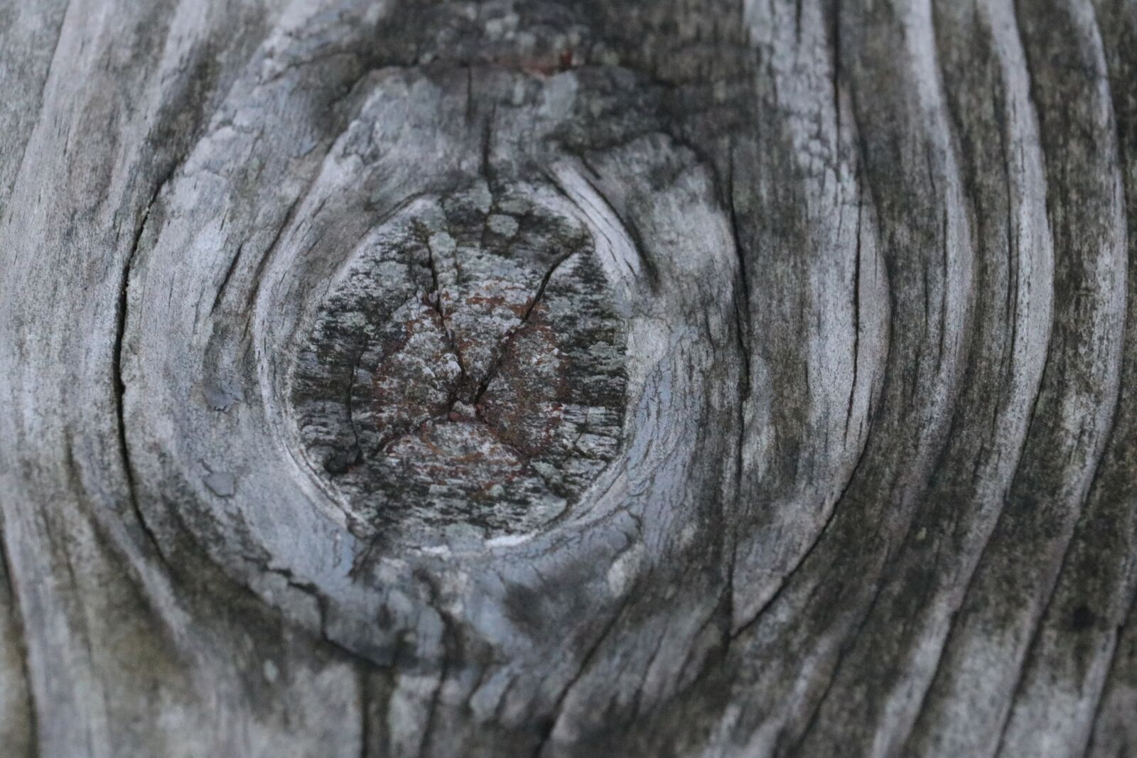 Canon EF-S 55-250mm F4-5.6 IS STM sample photo. Wood, bench, rest photography