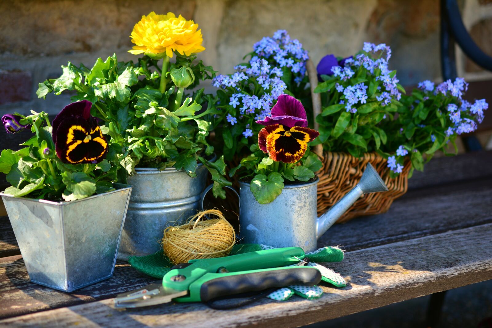 Nikon D5200 sample photo. Garden, flowers, plant flowers photography
