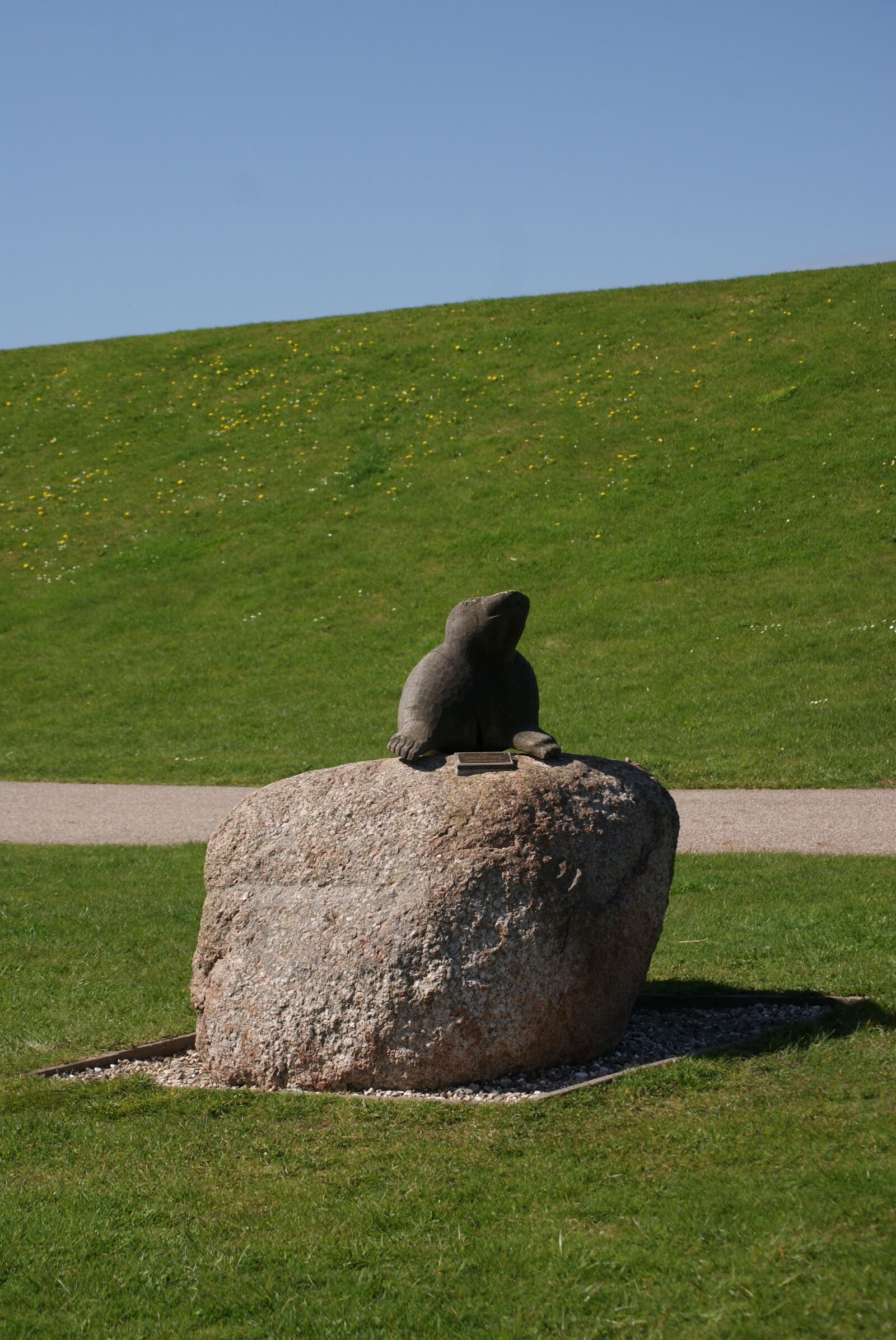 Sony Alpha DSLR-A300 sample photo. Foka, figure, grass photography