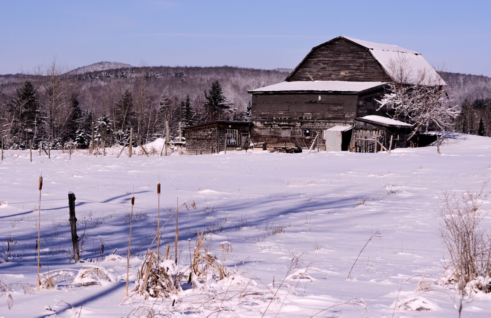 Nikon D5100 sample photo. Grange, winter, cold photography
