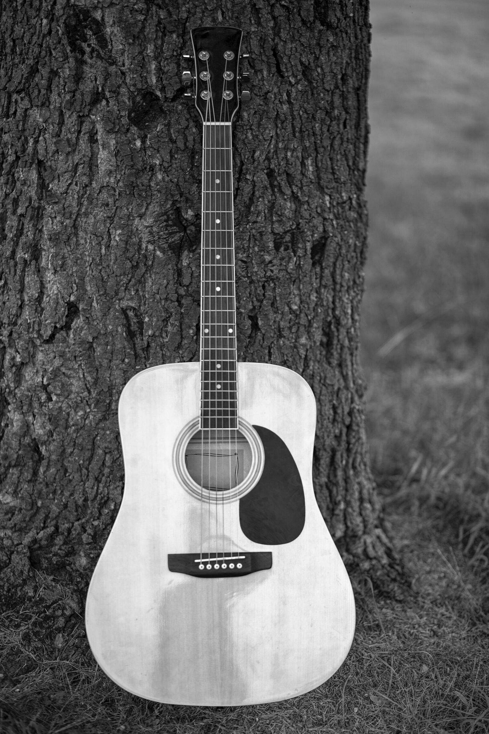 Canon EF 85mm F1.8 USM sample photo. Guitar, background, music photography