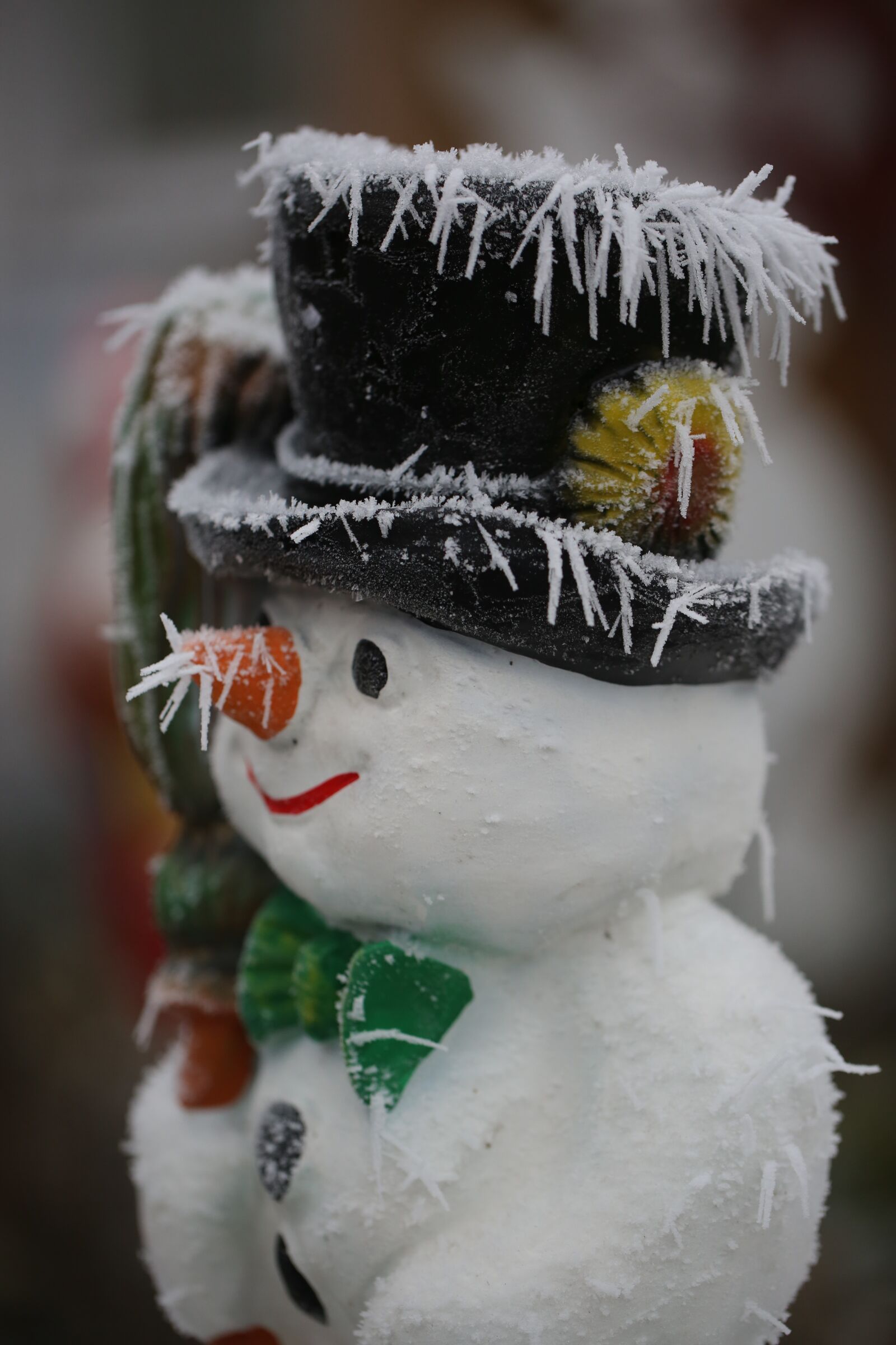 Canon EF 100mm F2.8L Macro IS USM sample photo. Ripe, hoarfrost, winter motif photography