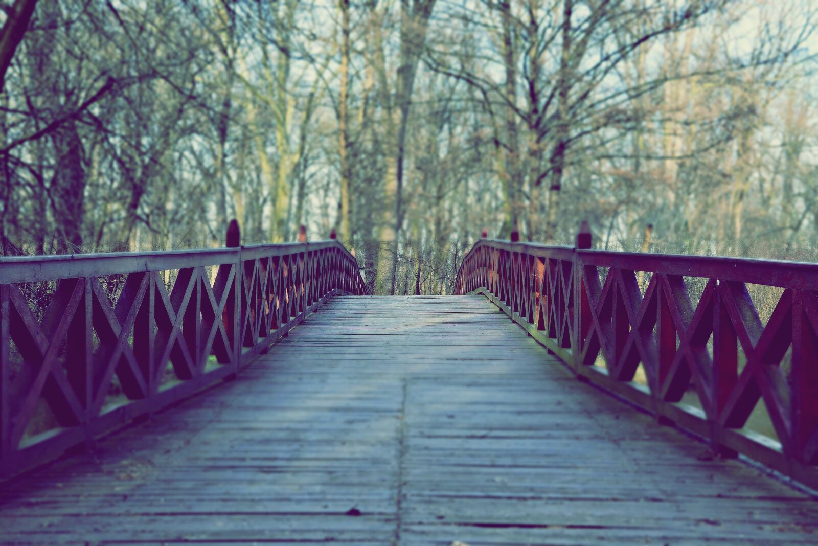 Nikon D7100 sample photo. Bridge, spring, architecture photography
