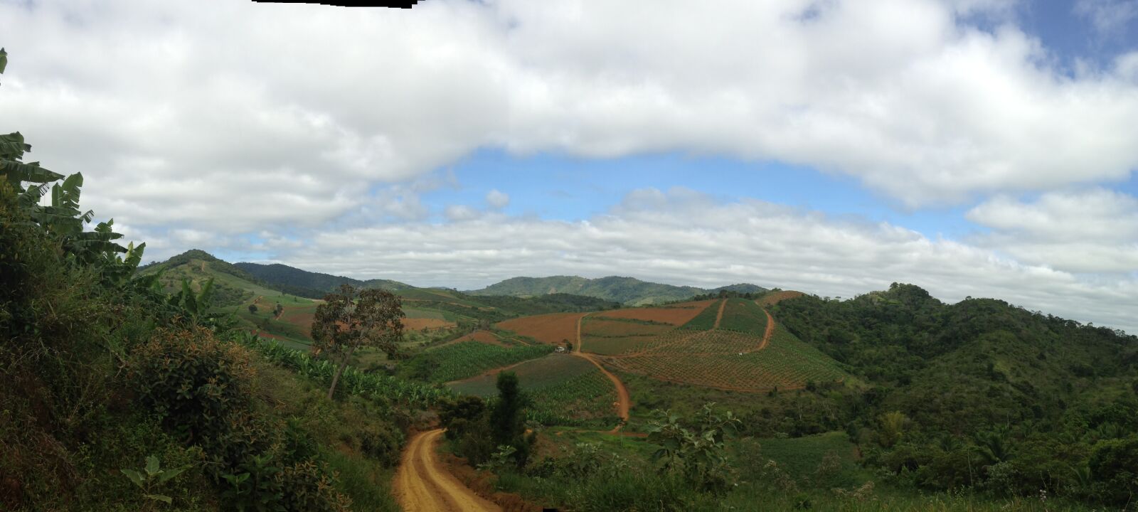 iPhone 5c back camera 4.12mm f/2.4 sample photo. Southernbahialowlands, road, brazil photography