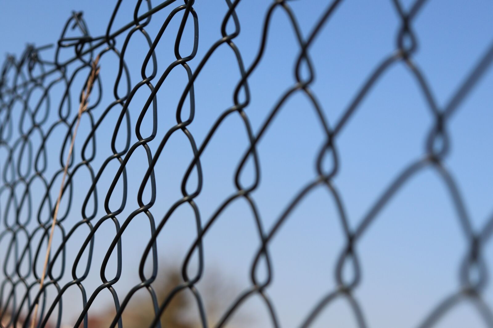 Canon EOS 800D (EOS Rebel T7i / EOS Kiss X9i) sample photo. Fence, wire, prison photography