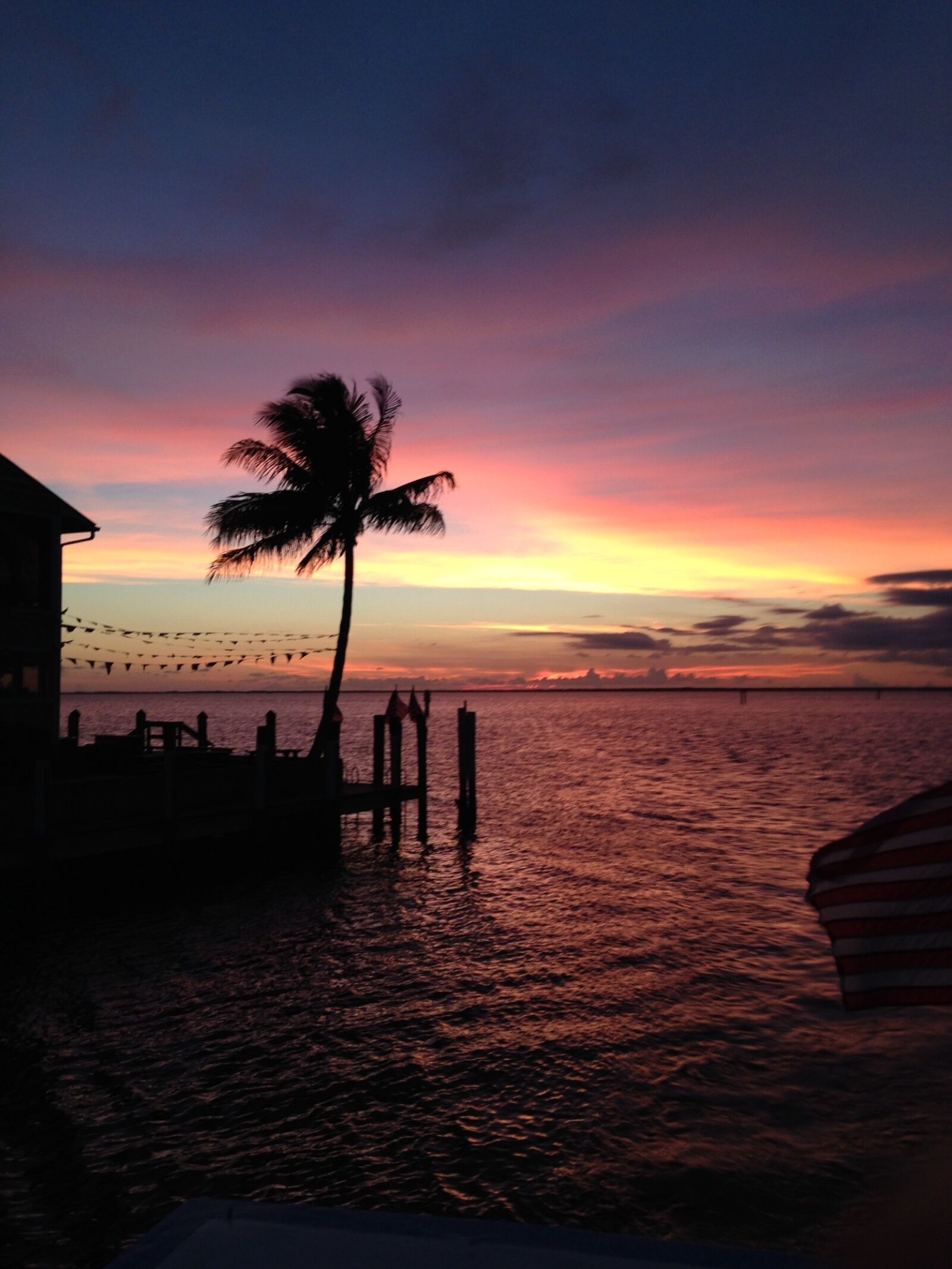 iPhone 5c back camera 4.12mm f/2.4 sample photo. Sunset, colors, palm tree photography