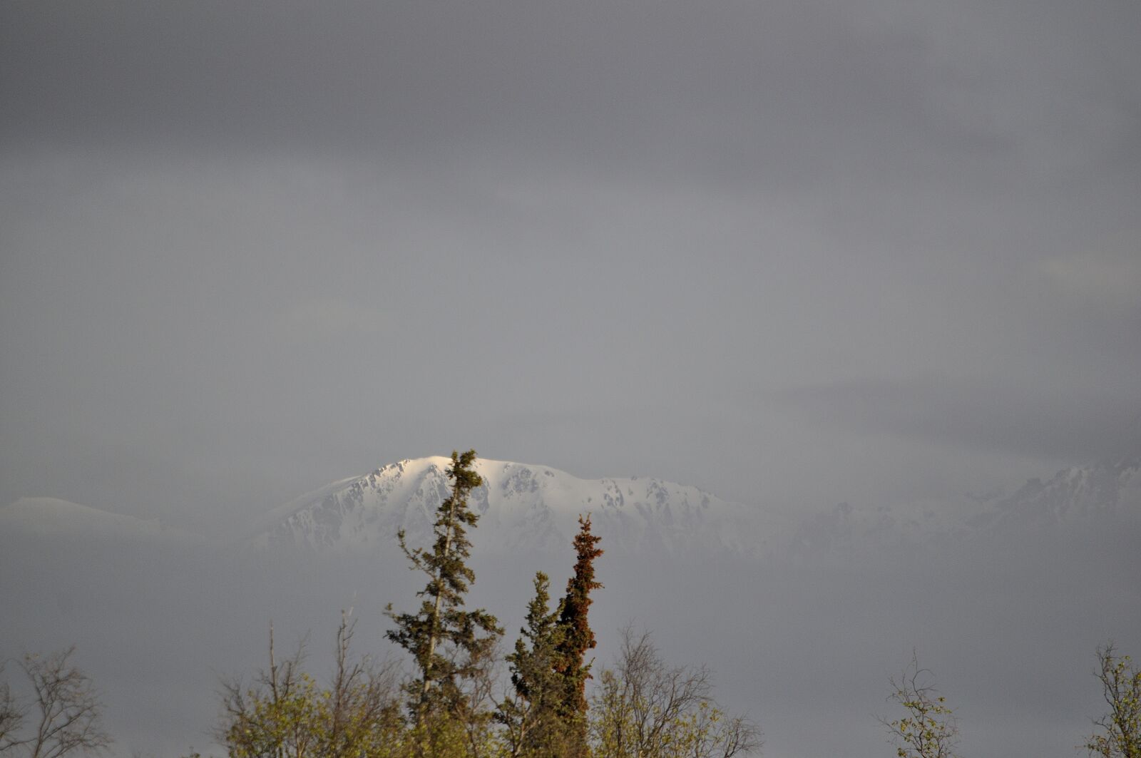Nikon D5000 sample photo. Mountain, fog, winter photography