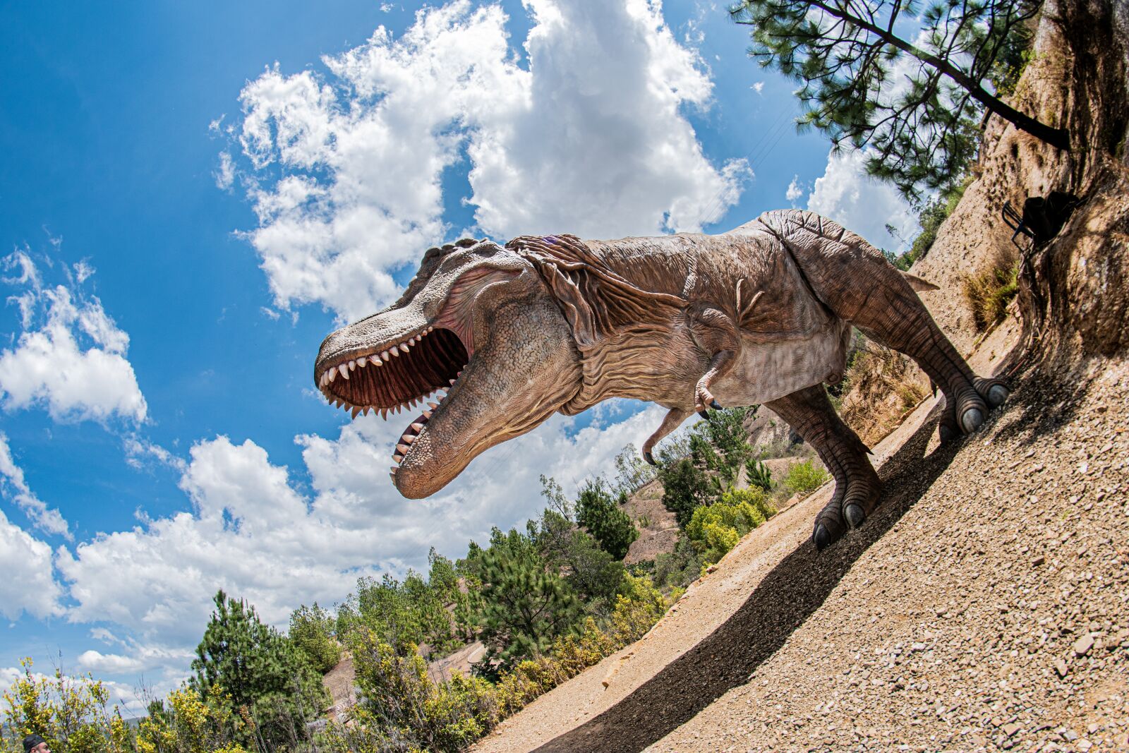 Nikon D5600 sample photo. T-rex, tyrannosaurus, gondava photography