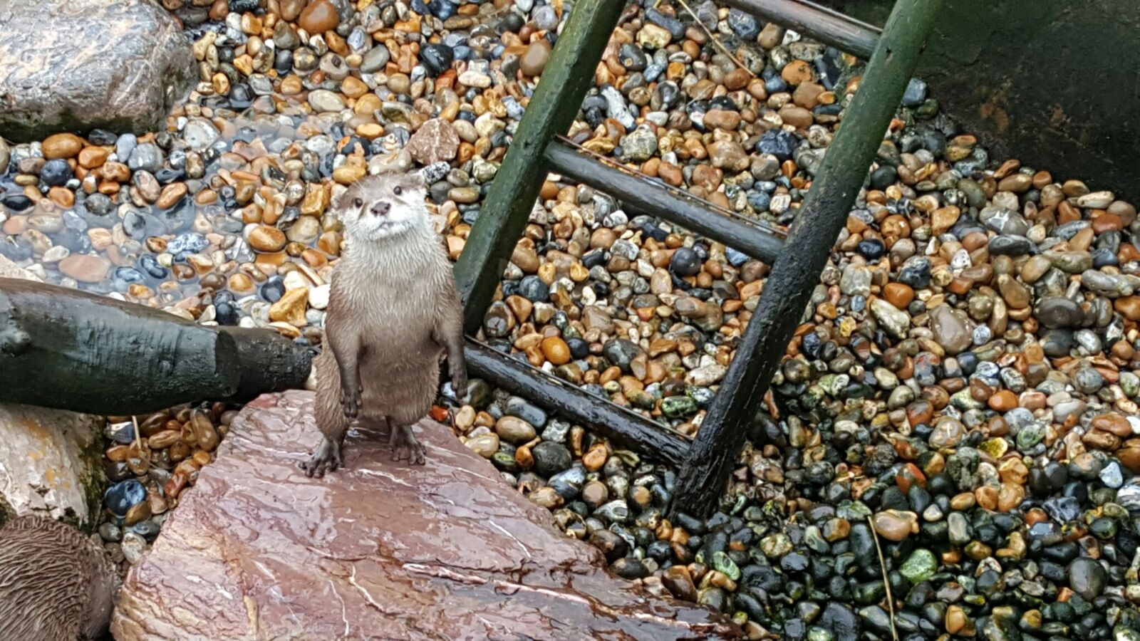 Samsung Galaxy S6 sample photo