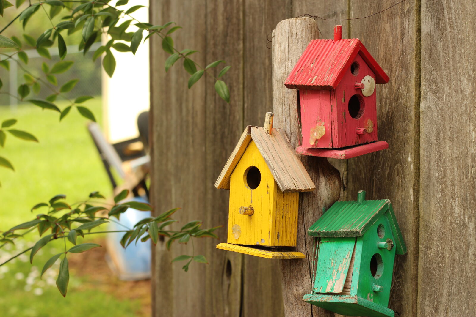 Canon EF 50mm F1.8 STM sample photo. Bird, house, birdhouse, fence photography