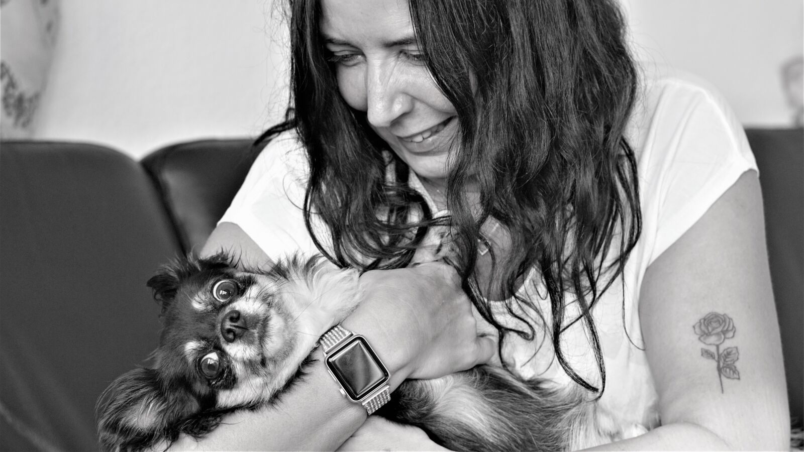 Sony FE 50mm F1.8 sample photo. Woman, chihuahua, in arm photography