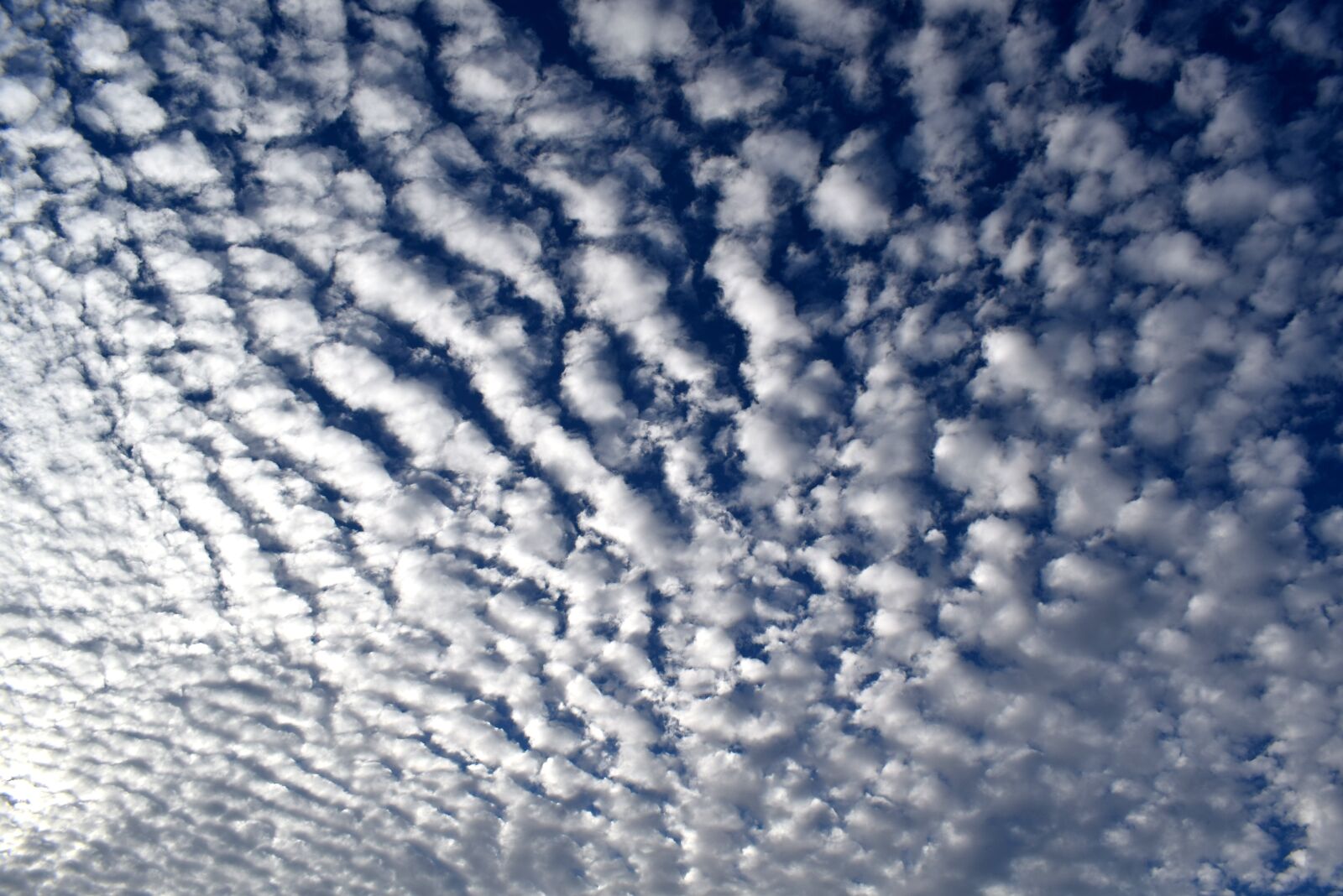 Nikon D5300 sample photo. Cloud, sky, clouds photography