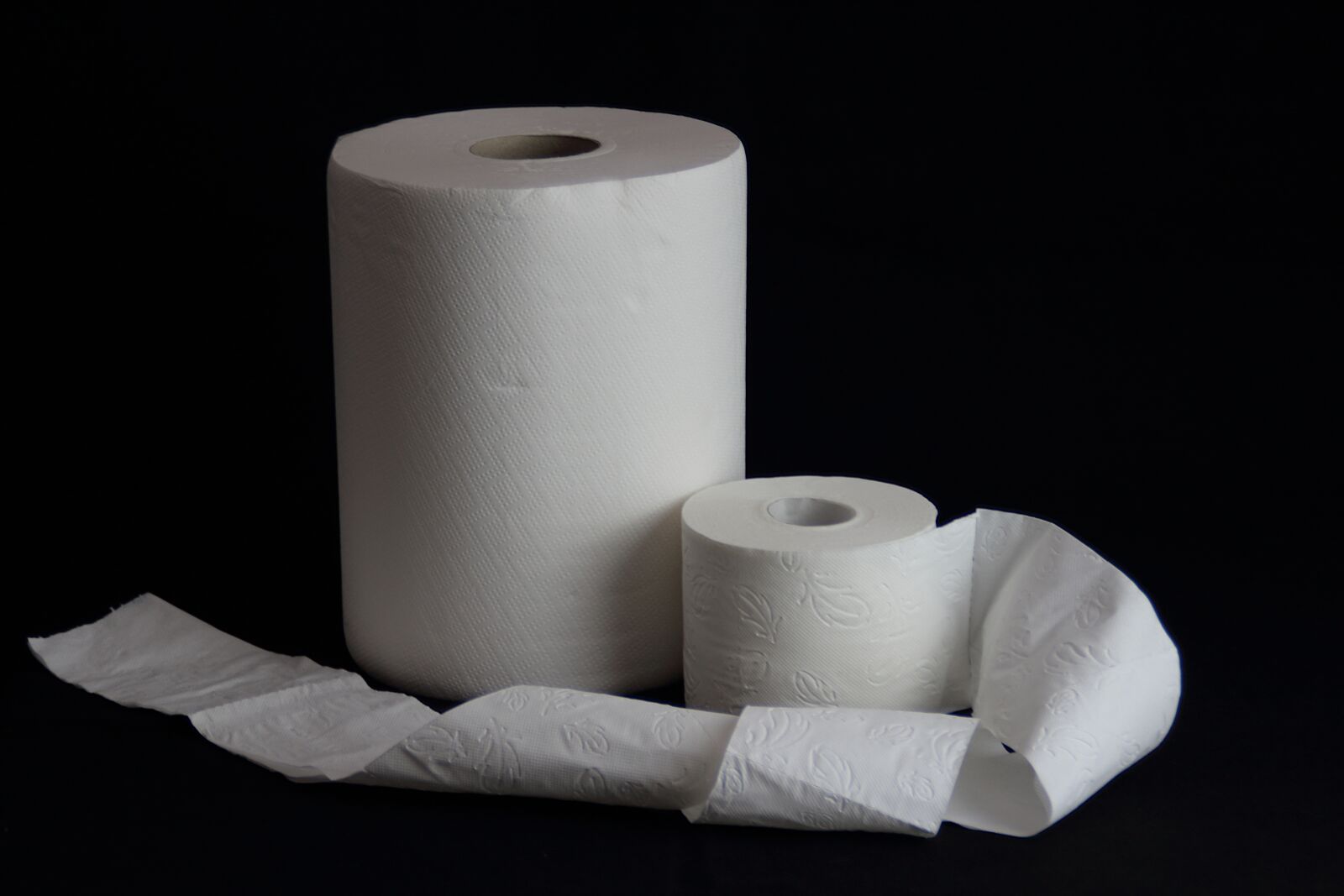 Canon EOS 100D (EOS Rebel SL1 / EOS Kiss X7) sample photo. Toilet paper, toilet, toilet photography