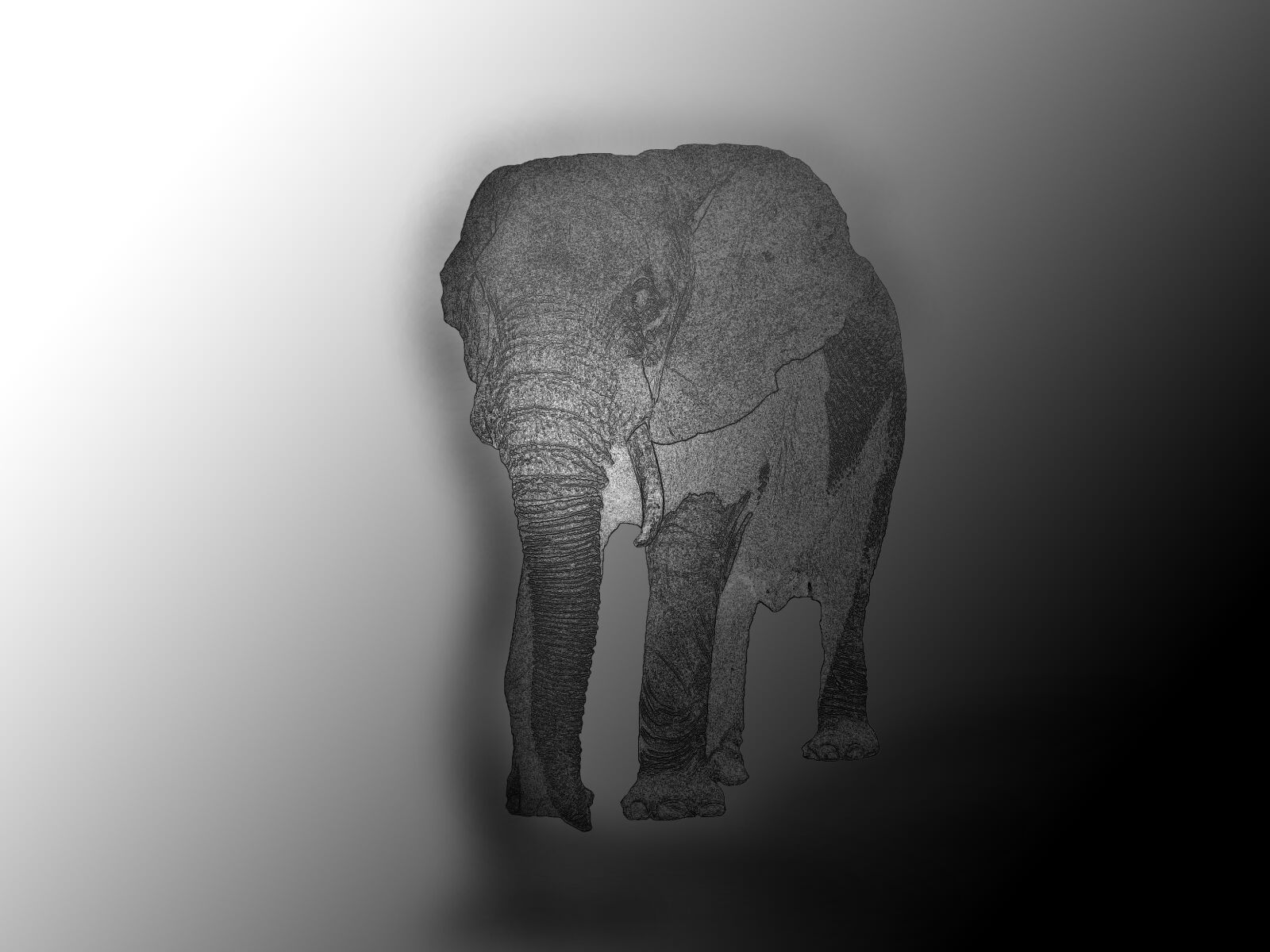 Panasonic Lumix DMC-FS3 sample photo. Elephant, drawing, pet photography