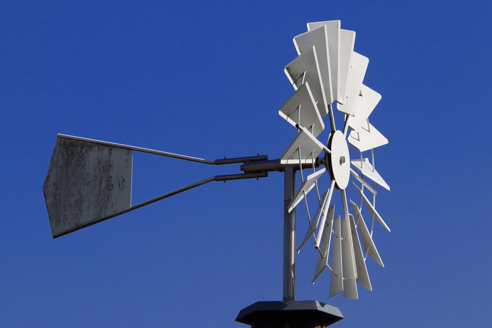 Canon EOS 80D sample photo. Pinwheel, wind, turn photography