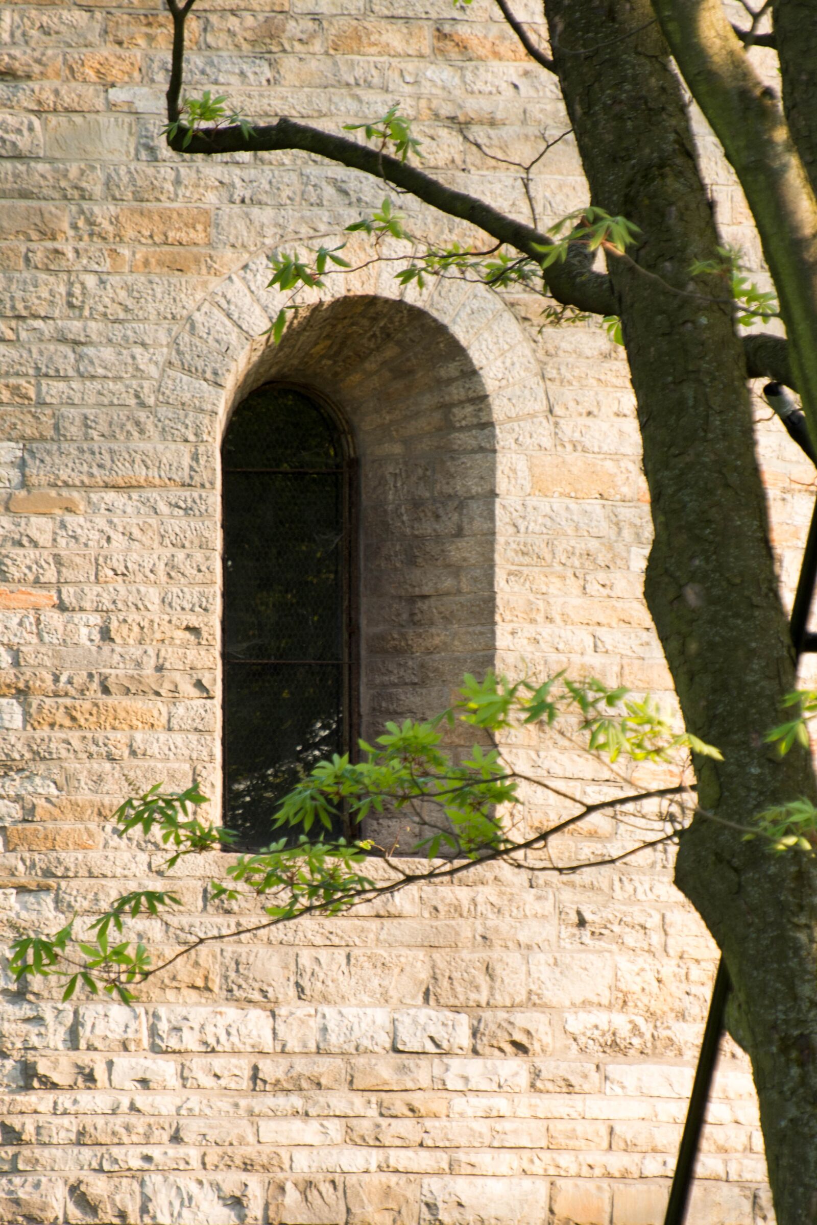 Nikon D7100 sample photo. Architecture, ancient photography