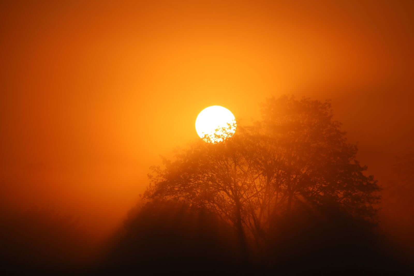 Canon EOS 760D (EOS Rebel T6s / EOS 8000D) sample photo. Morning hour, sunrise, landscape photography