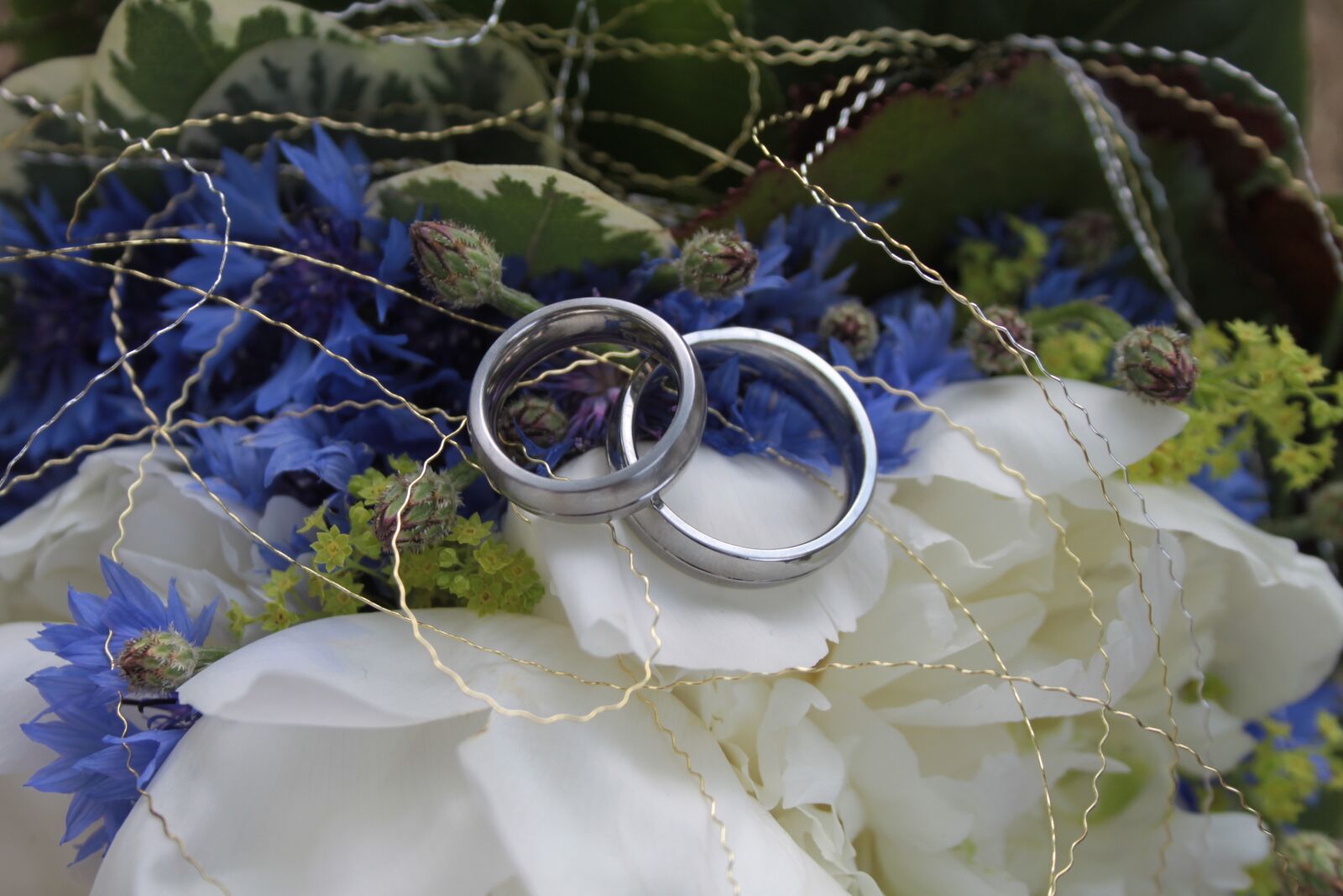 Canon EOS 500D (EOS Rebel T1i / EOS Kiss X3) sample photo. Marriage, gypsophila, marry photography