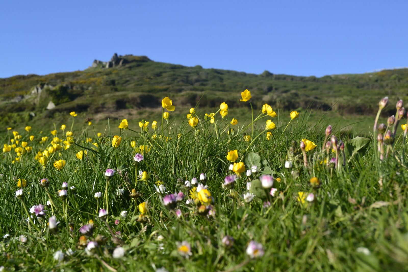 Nikon D3100 sample photo. Nature, hayfield, field photography