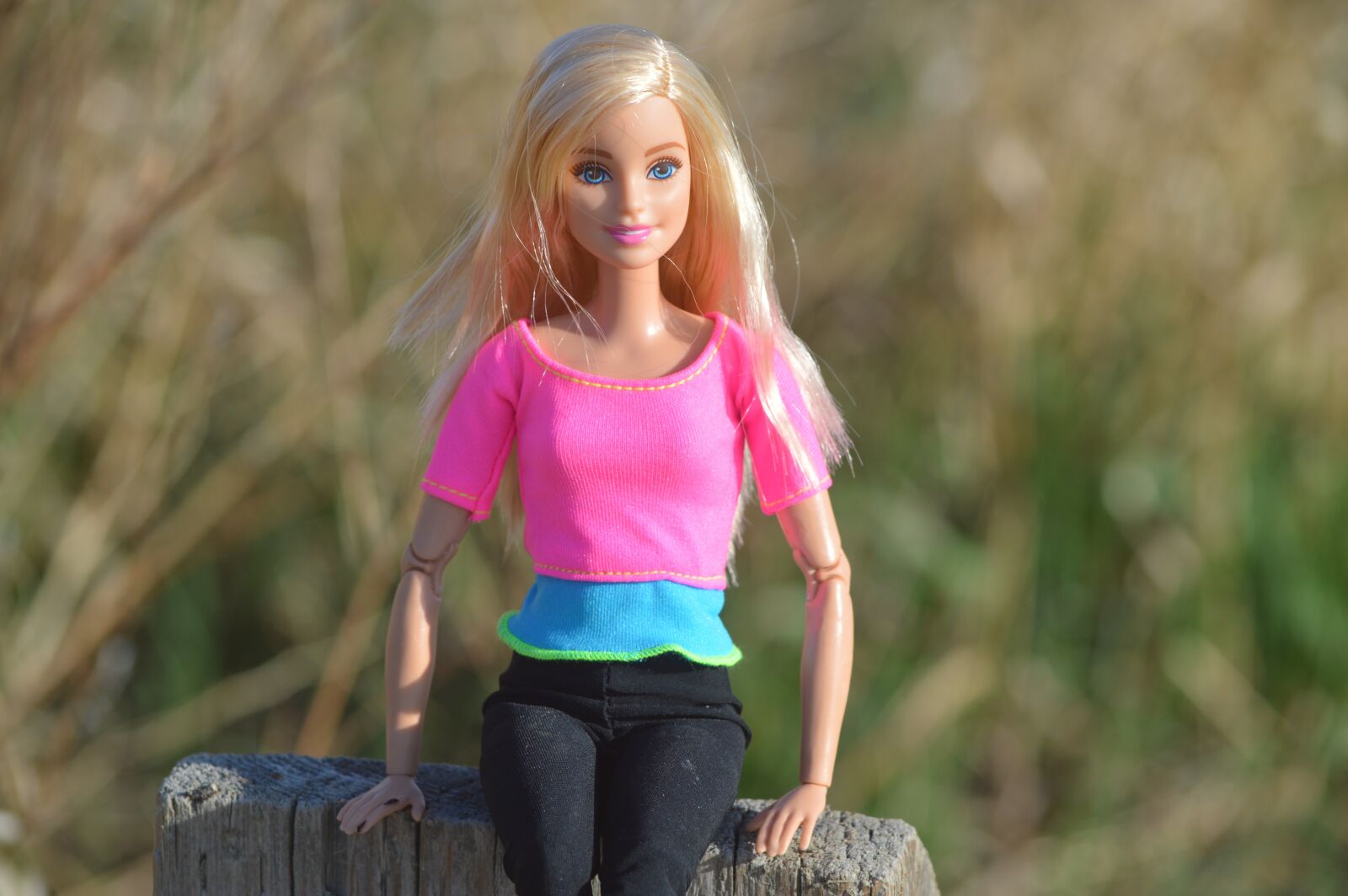 Nikon D3200 sample photo. Barbie, doll, posing photography