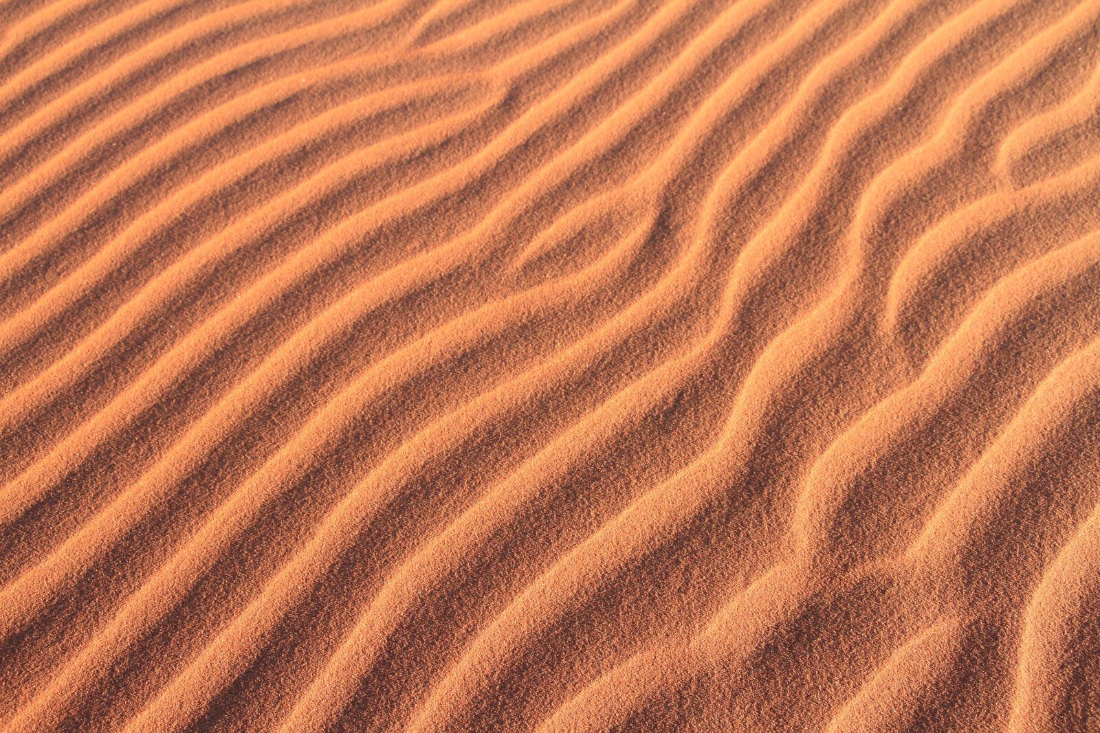 Canon EOS 7D sample photo. Elements, sand, wind photography