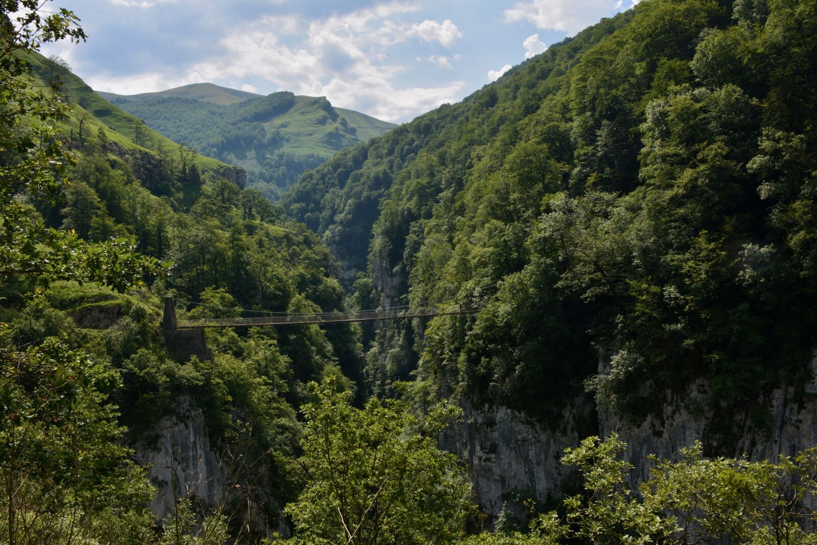 Nikon D7100 sample photo. Bridge, the suspension bridge photography