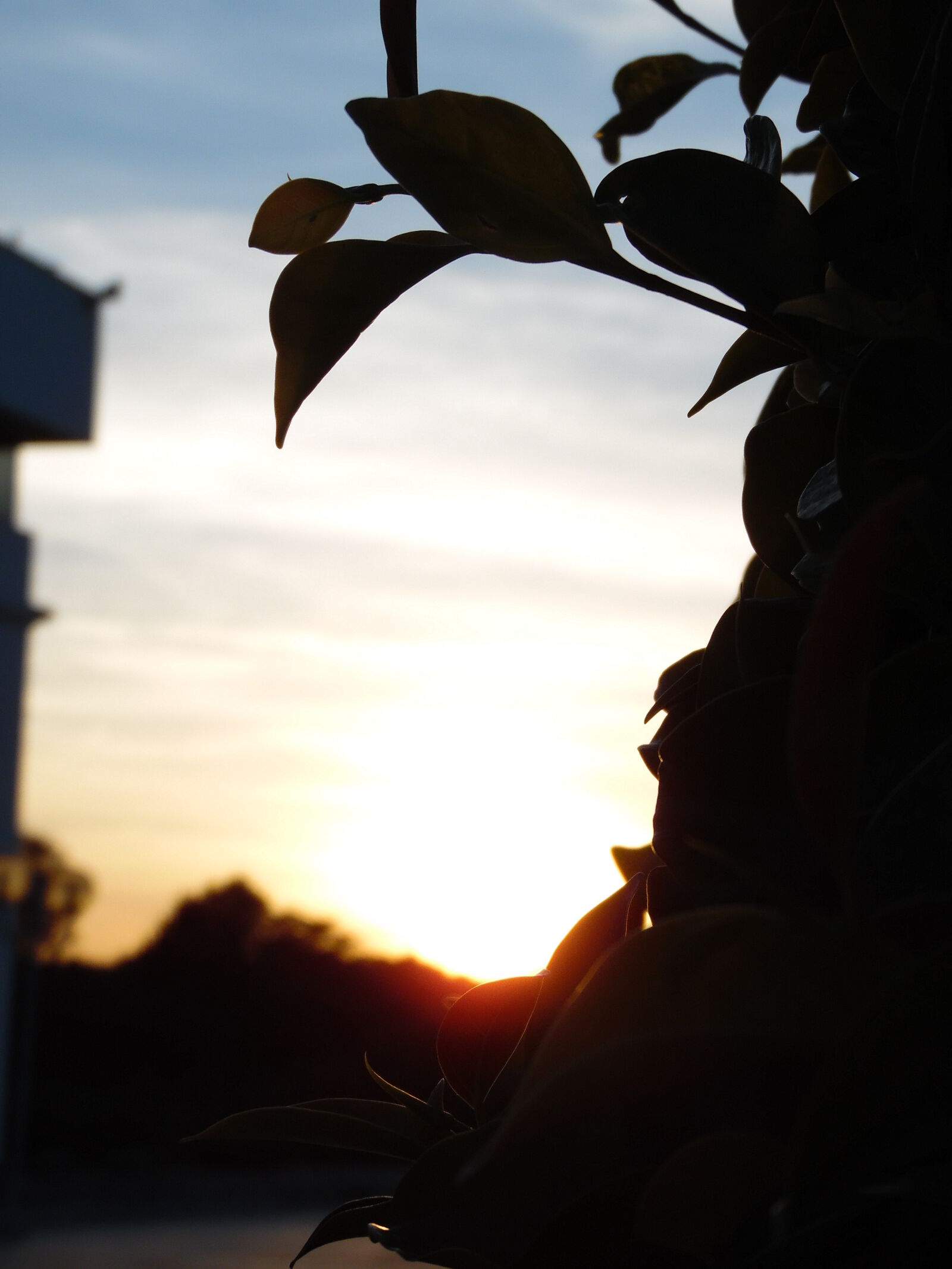 Samsung WB1100F/WB1101F/WB1102F sample photo